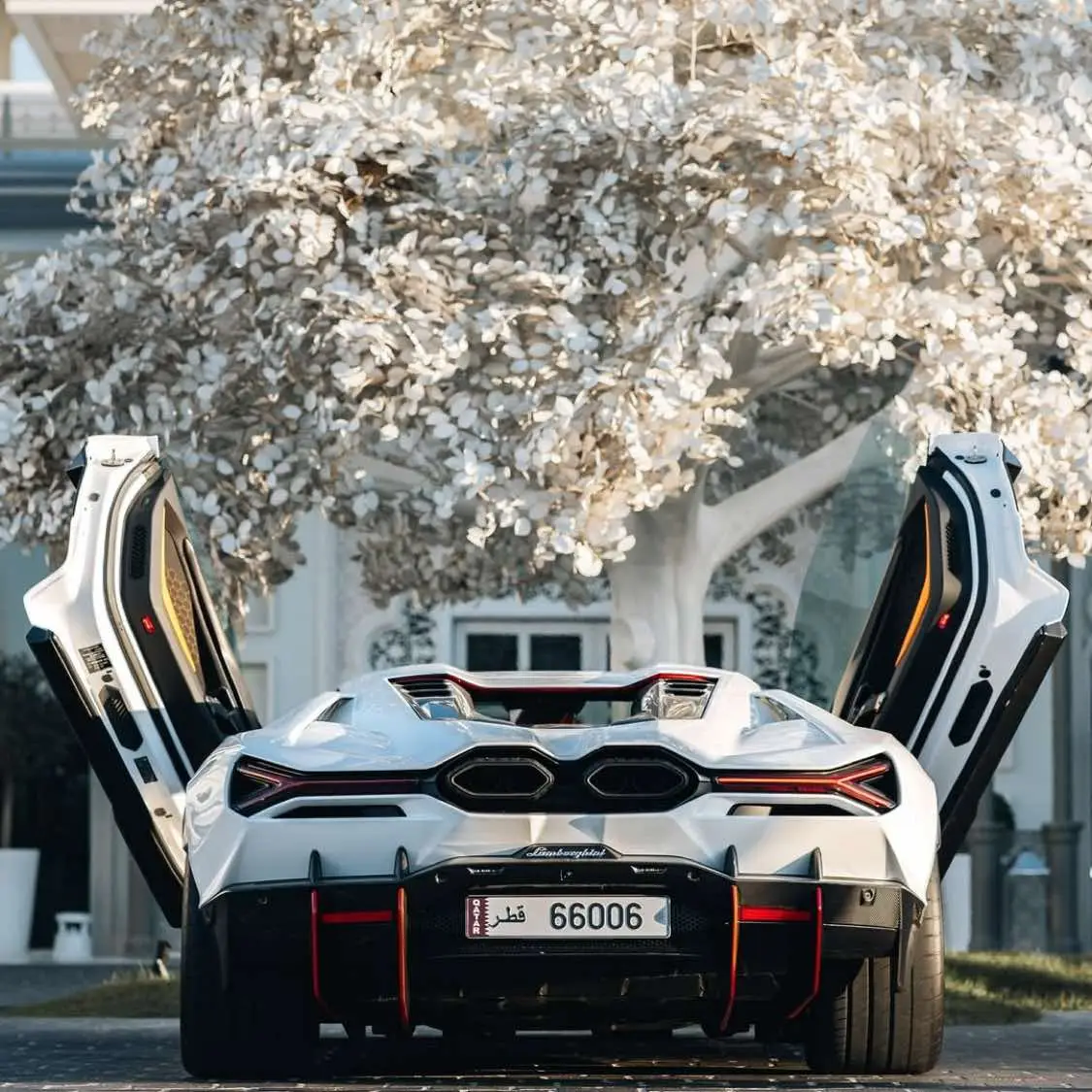 Lamborghini Revuelto - Albinism - Ice Monster #Kcar #dalzielksp #supercar #caroftiktok #hypercar #sports #Kylerle #luxury #racing #lamborghini #lamborghinirevuelto #italy 