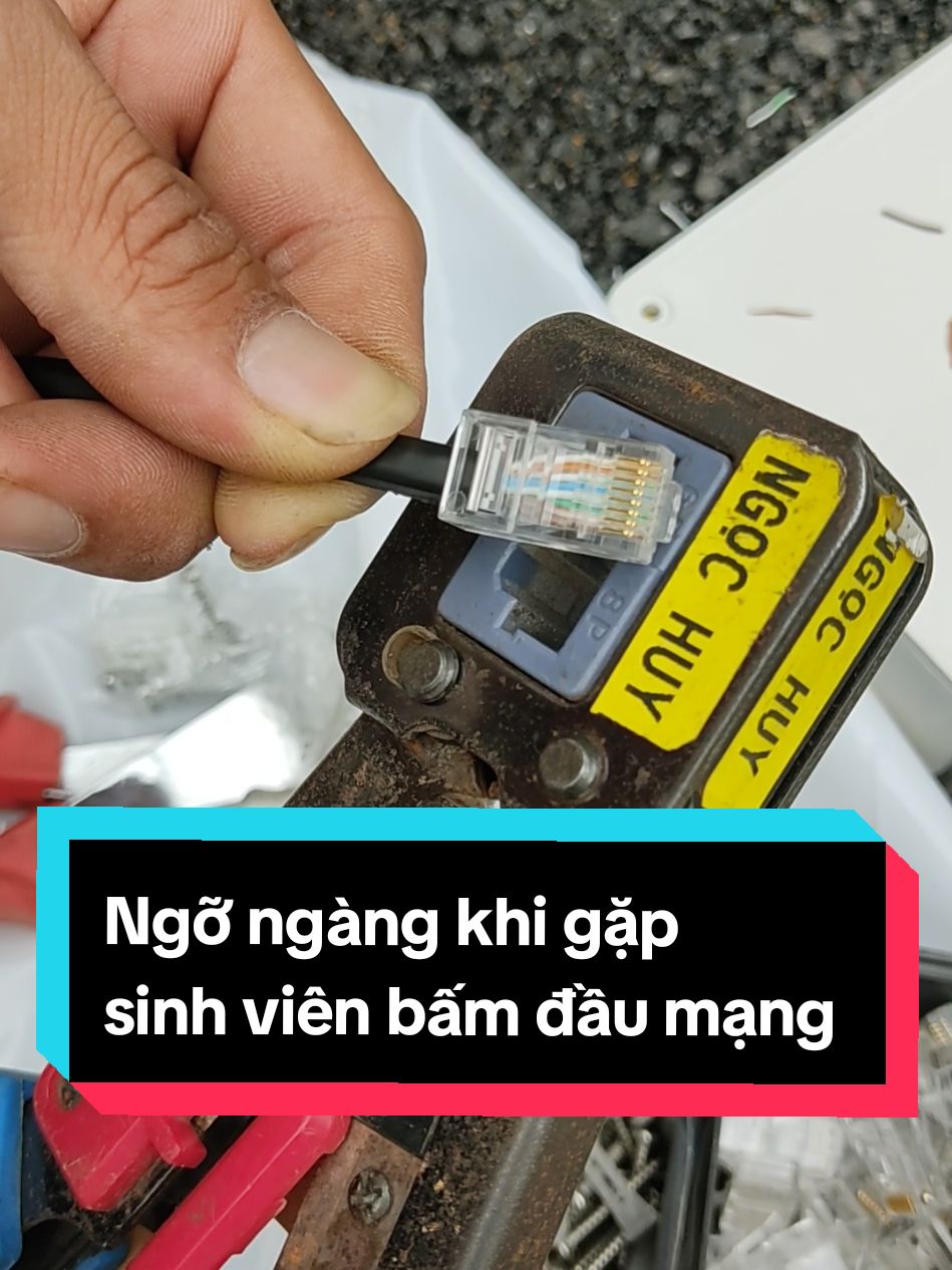 Sinh viên ra trường 2 năm bấm đầu mạng (bấm cos mạng Lan RJ45 - jack mạng - đầu cáp mạng - đầu dây cáp mạng internet - hạt mạng), xem hết để biết chất lượng đào tạo ngày nay.  #daotao #giaoduc #hoctrentiktok #LearnOnTikTok #bamdaumang #bamdaymang #rj45 #capmang #daucapmang #bamdaucos #bamcos #bamcosmang 