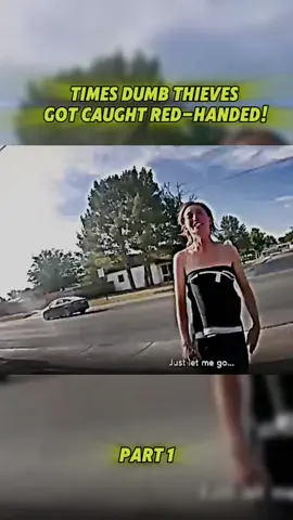 Times Dumb Thieves Got Caught Red-Handed!