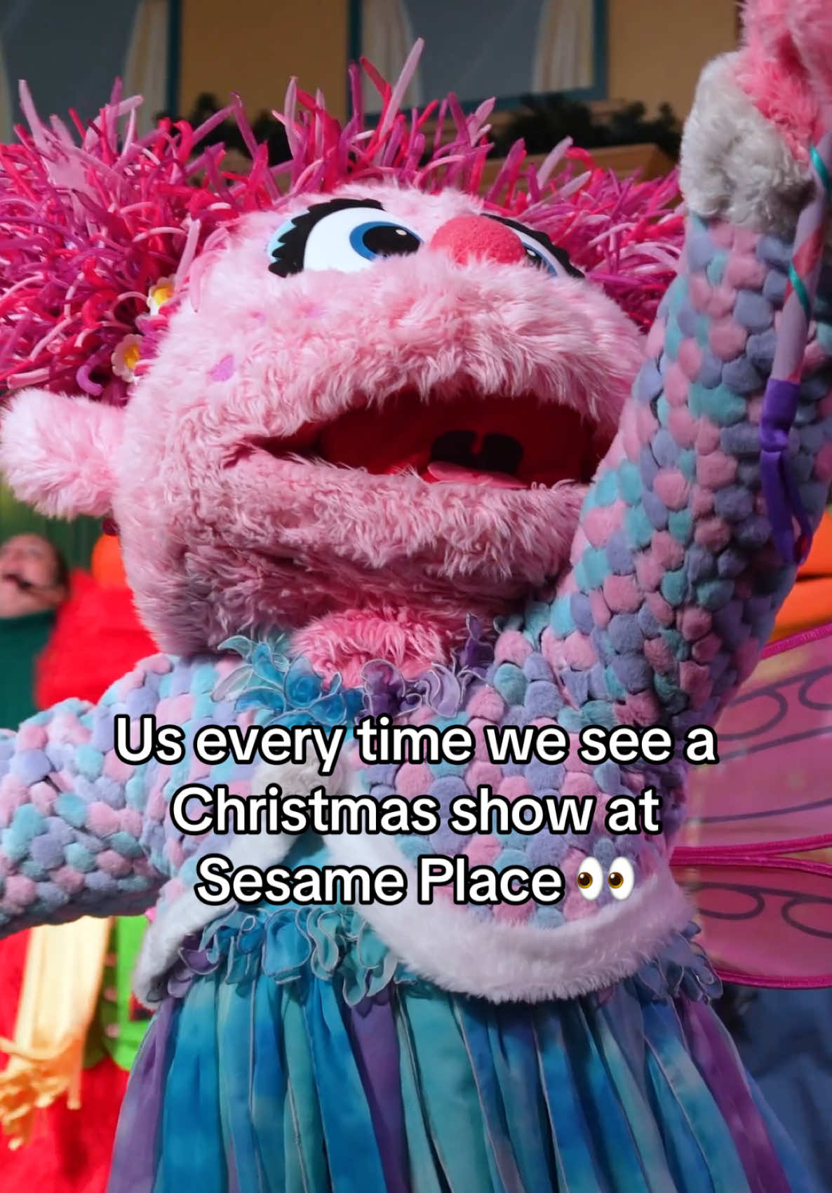 Us… everytime we see a Christmas show at Sesame Place 👀 #Christmas #Holiday #SesamePlace