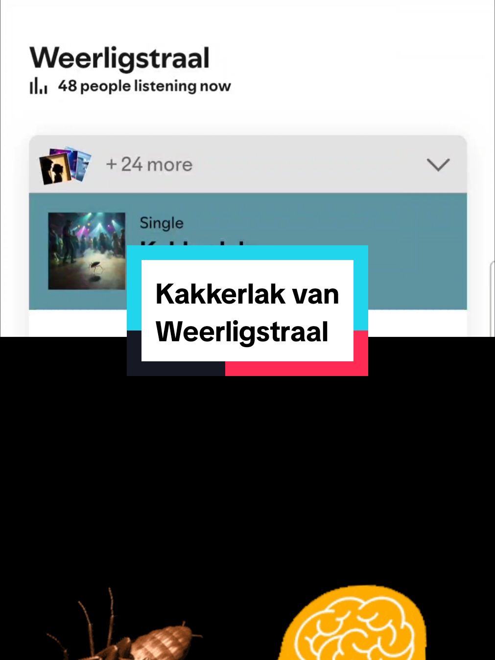 Dankie vir al die haters wat my kakkerlak liedjie help viral gaan het.. #hophopspinnekop #Afrikaansmusiek #weerligstraal #aimusiek #kakkerlak ❤🤣