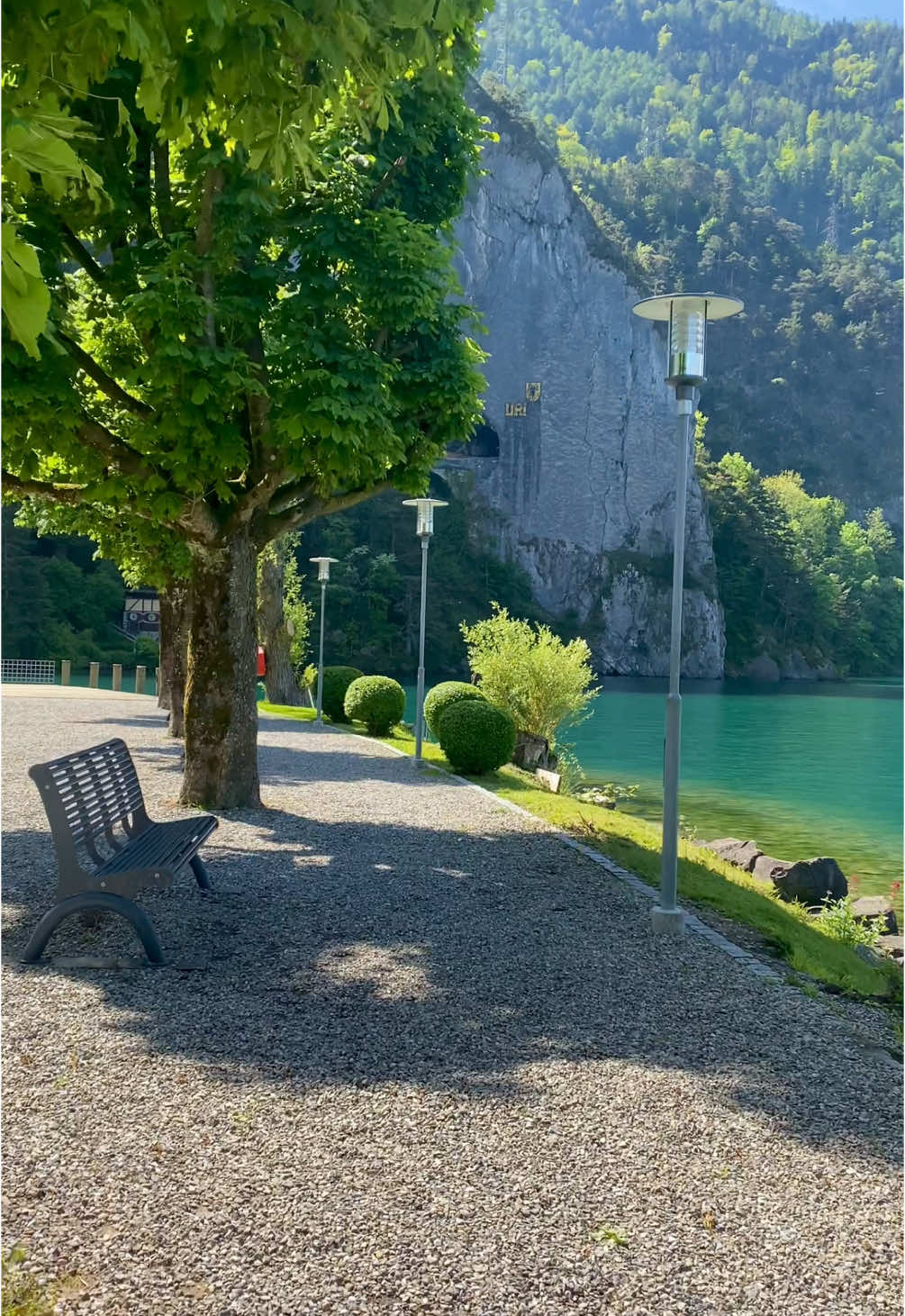 Lake Lucerne 🇨🇭 #switzerland #lakelucerneregion #naturevibes #BeautyReview #mysweetheart 