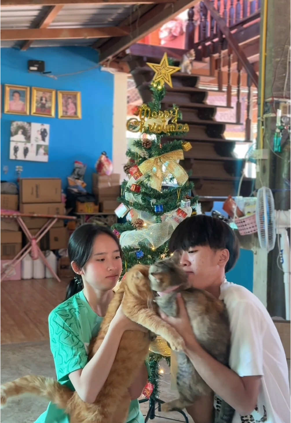 เดี๋ยวรอชมคลิปจัดต้นคริสต์มาสต้นใหญ่ได้เลยย นี้แค่เริ่มต้นน😂🎄🤓  #ไกรสุวิจักขณ์ #ต้นคริสต์มาส 