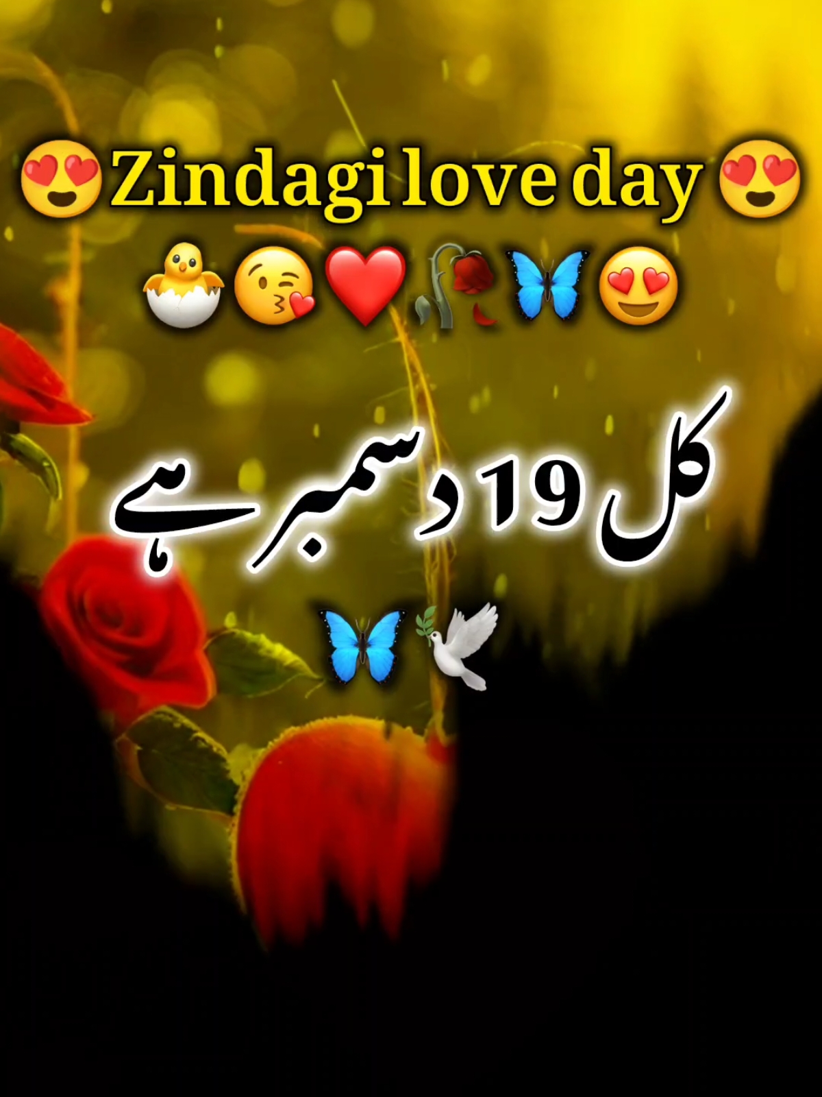 CAL HAPPY CUTE ZINDAGI LOVE DAY HAI 🥀♥️#fyp#lovestatus #foryoupage #pleasegoviral  #trendingvideo #100kviews #fypシ゚viral #whatsaapstatus    #pleasegoviral 