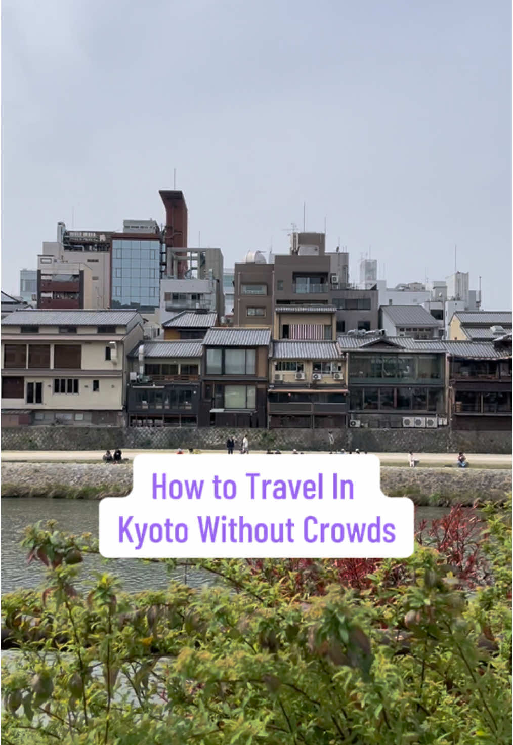 How to Travel in Kyoto, no crowds | Japan travel off the beaten path. | Japan travel tips #japan #traveljapan #japantravelguide 