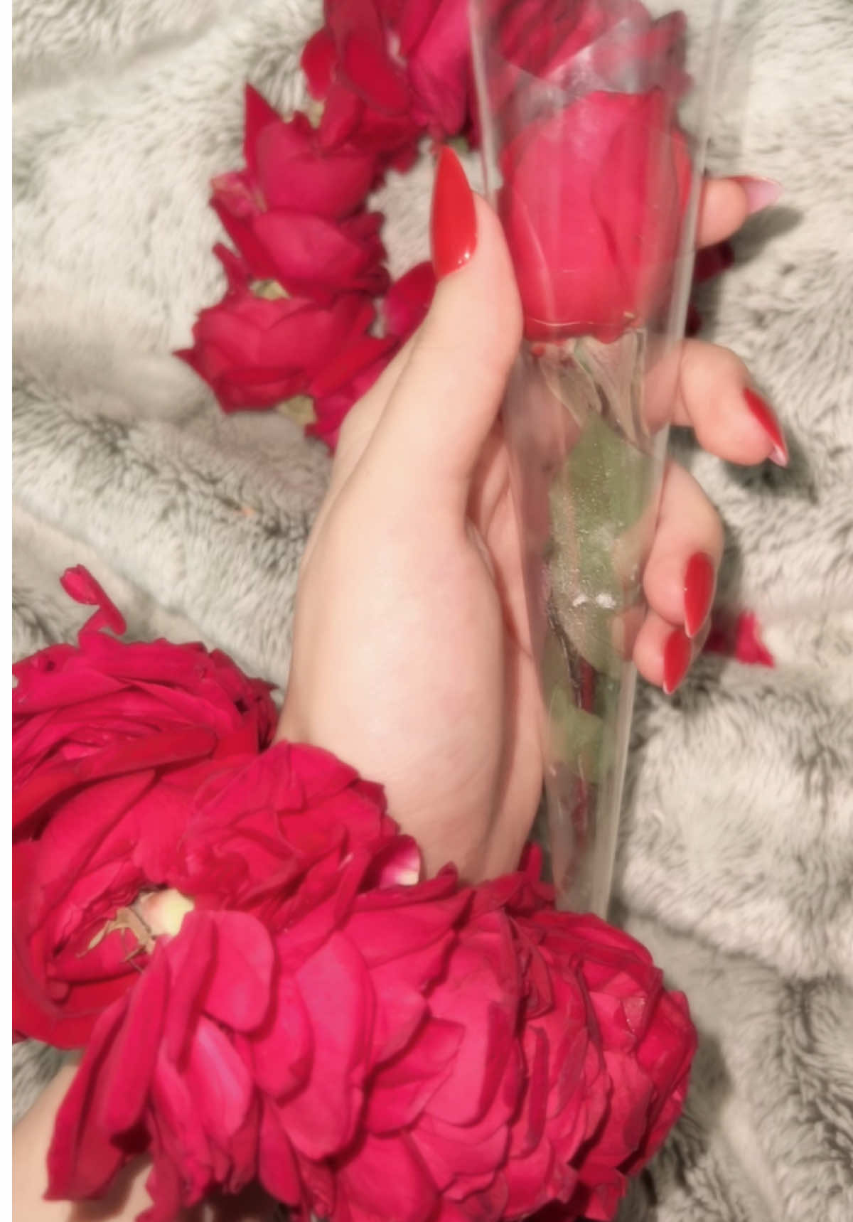 Nails from @KOZO💅🏻Thankyou @❣️..... مہک.... 😍 #CapCut #foryou #foryoupage #zoyakanwal4004 #1m #viral #pinterest #nail #rose 