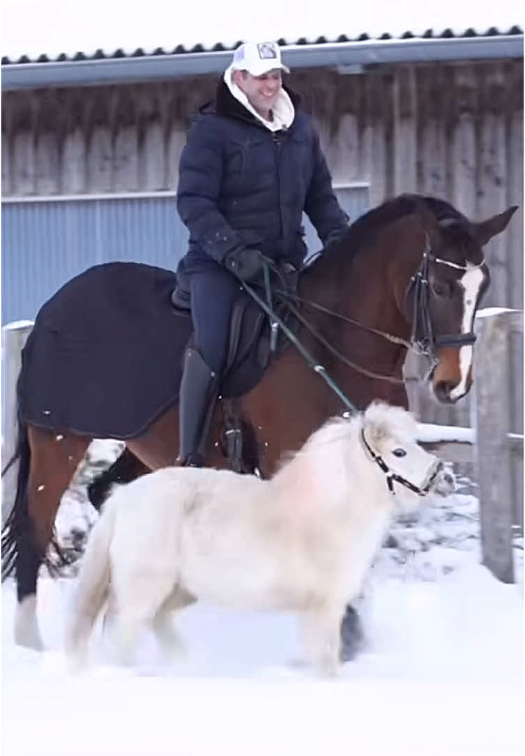 Well.. oops! 🌨️ heres todays fail for ya!❄️ Credits to the brave sebastian.marx_original (insta) for trying! #foryoupage #fyp #viral #horse #trending #equestriantrend #equestriansoftiktok #showjumping #dressage #viral_video #quality #horseriding #cozy #snow #christmas #fail #comedy #christmasfail #snowfail #epicfail #joke #tag #tags #shetlandpony 