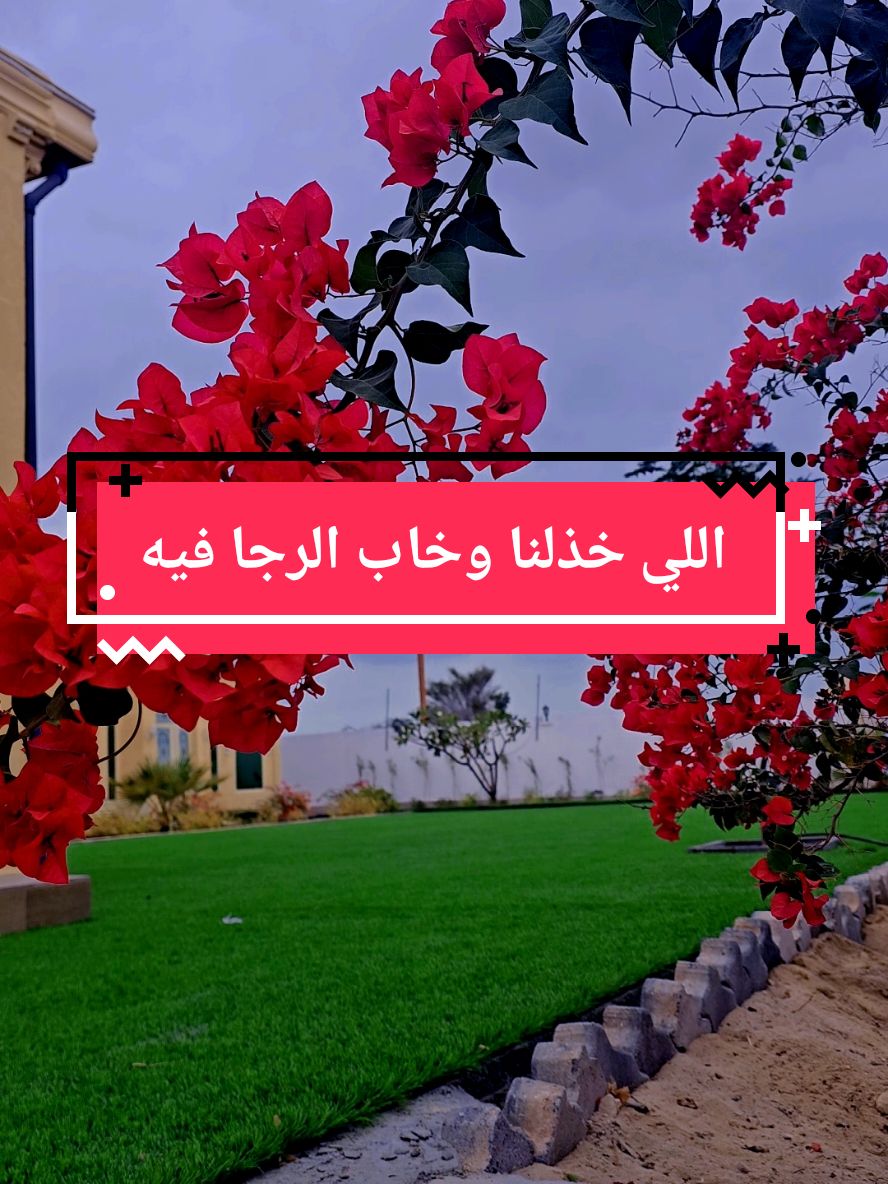 قصيده عن الخذلان اللي خذلنا وخاب الرجا فيه #قصيد #شعر #ابيات_شعر #قصيده_شعر_بوح_كلام_من_ذهب #قصيده_شعر #ذواقين 