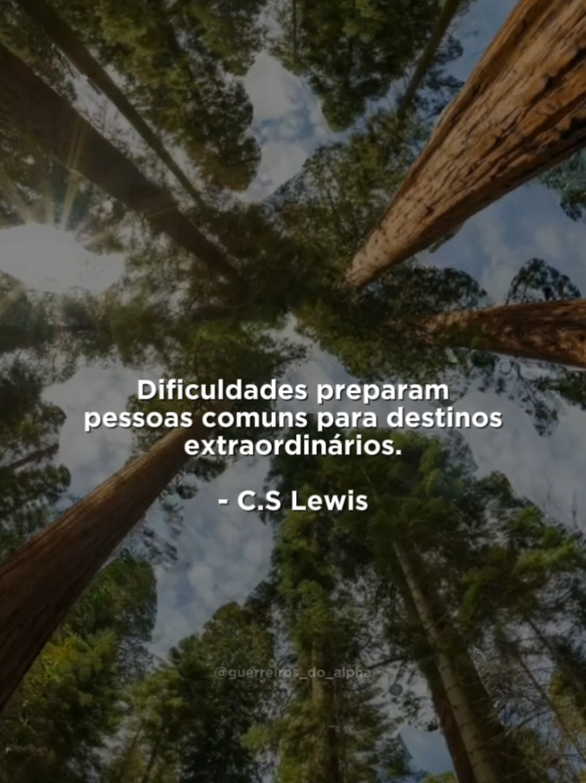 ✨️#cslewis #frasesmotivadoras #reflexao #Jesus #cristaosnotiktok 