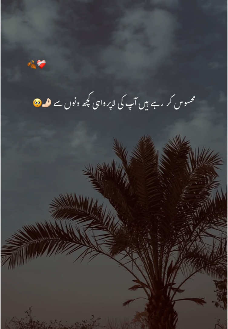 محسوس کر رہے ہیں آپ کی لاپرواہی کچھ دنوں سے🤌🏻🥹#fyp #1millionaudition #foryoupage #account #grow #viral #aesthetic #urdu #poetry 