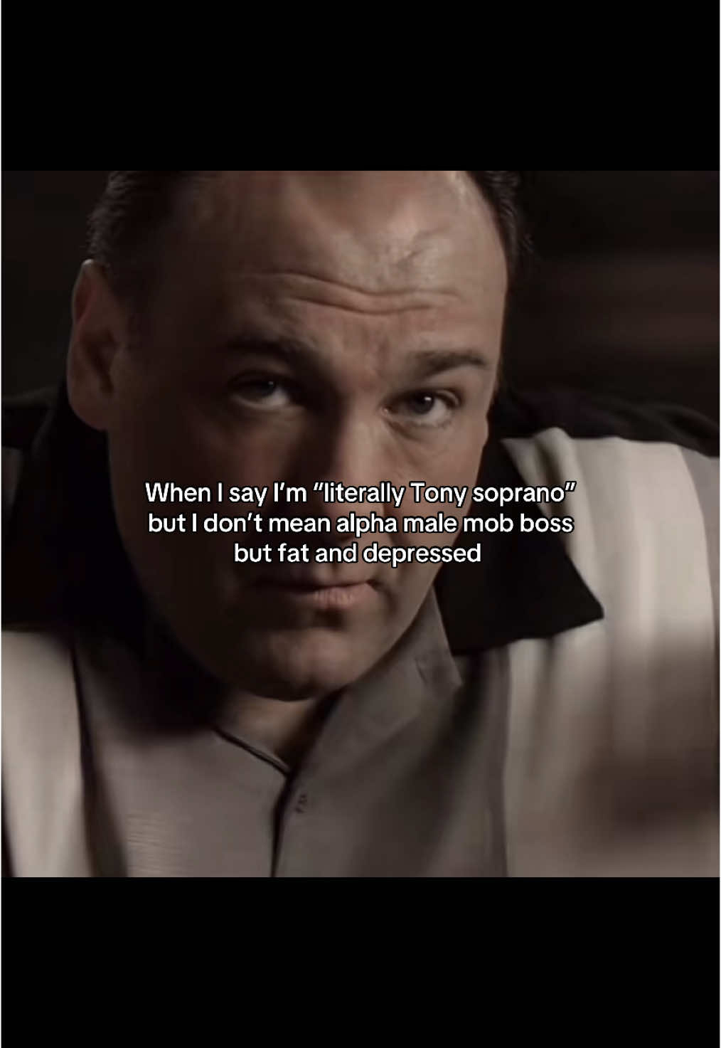 Im a fat fuckin crook from New Jersey #thesopranos #tonysoprano #viral#fyp#foryou#foryoupage 