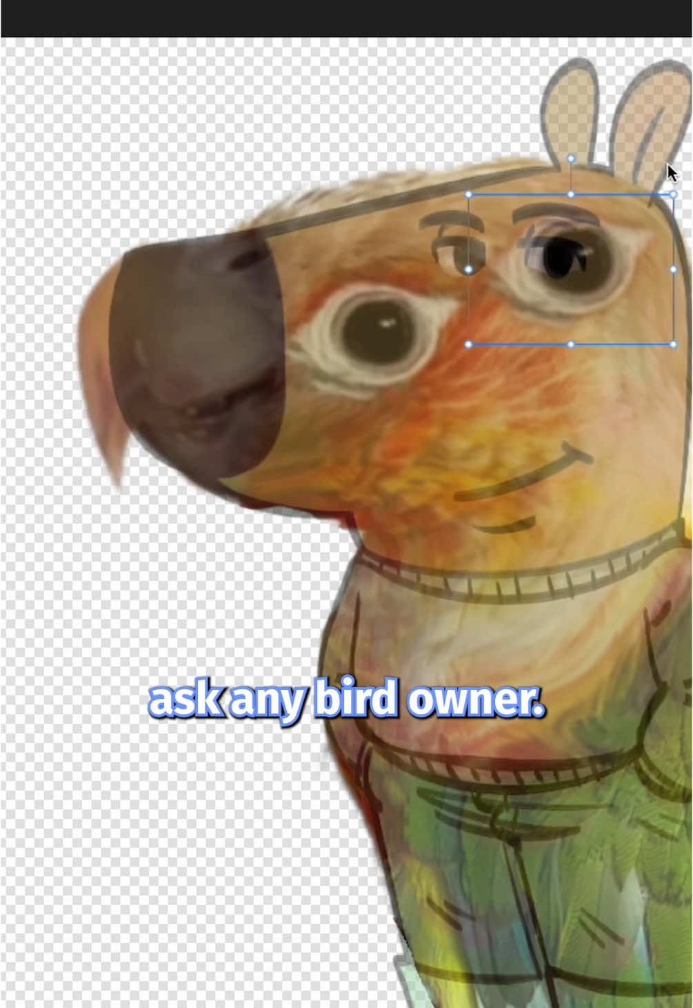 This will forever haunt me… #chillguy #lol #funny #conure #bird #photoshop 