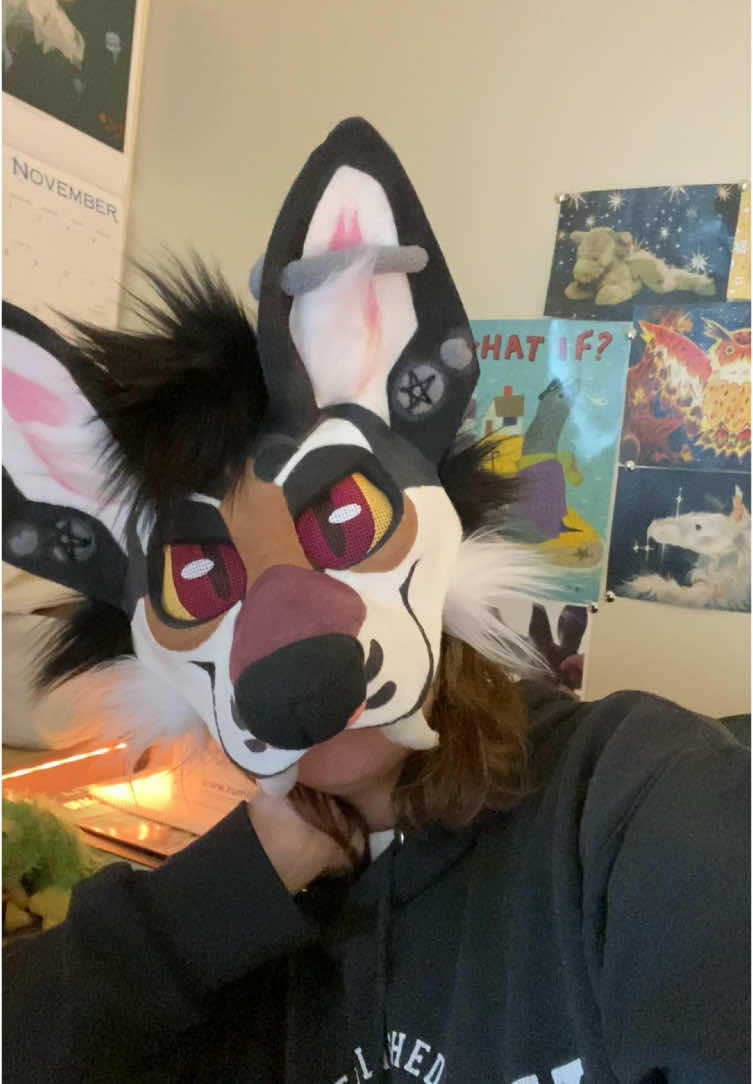 instagram: periwinklesundries youtube: periwinklesundries It’s been a great run u guys! Thank you for 14k+ followers!! I’ll probably be most active on my IG so make sure to follow me there cause I have a lot more fursuit masks on the way :) ♥️💙💛 #maskmaker #theriancommunity #furrycommunity #furryartist #furryfandom #fursuit #commissions #fursuitmaker #theriangear #therian 