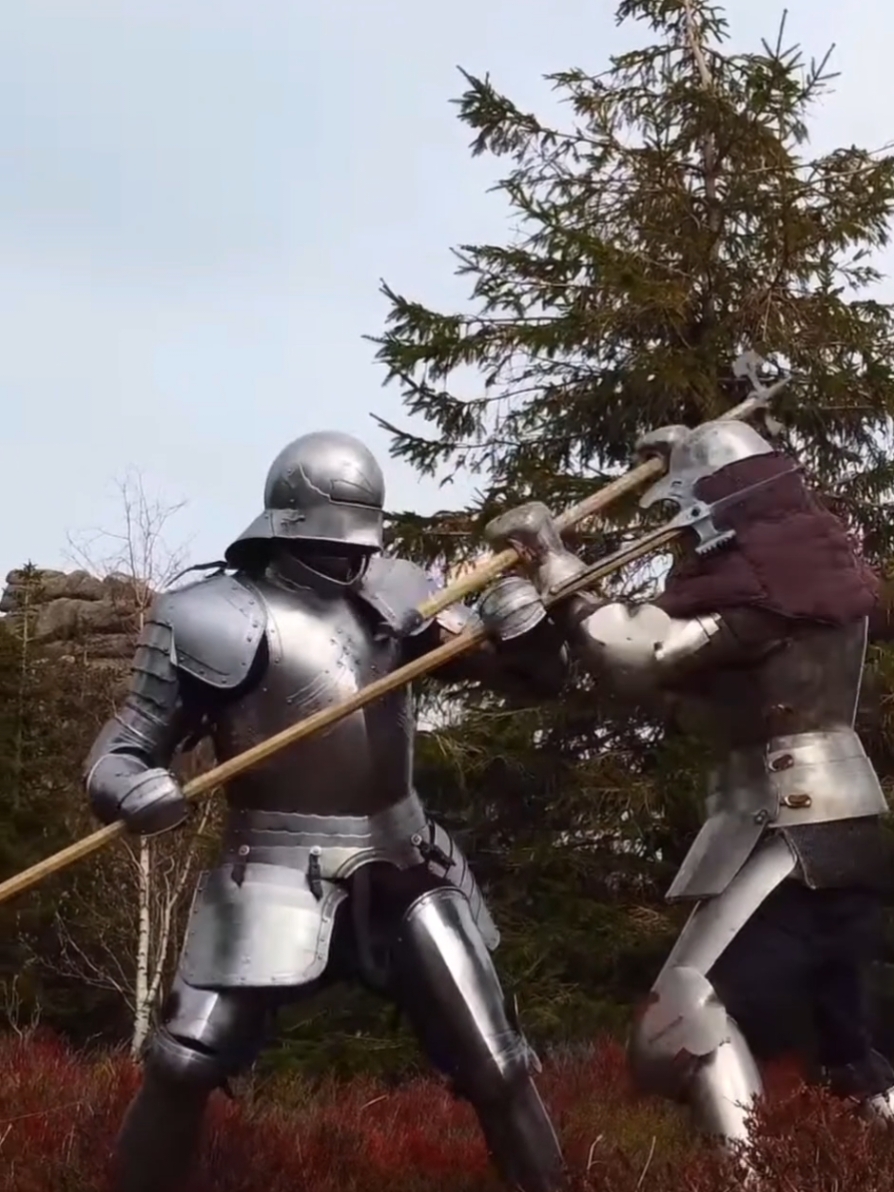 Дуэль на секирах в горах | 🗡️  Кредит: dequietm  #fyp#knights#medieval#darkfantasy#sparring#бои#fypシ#armor 