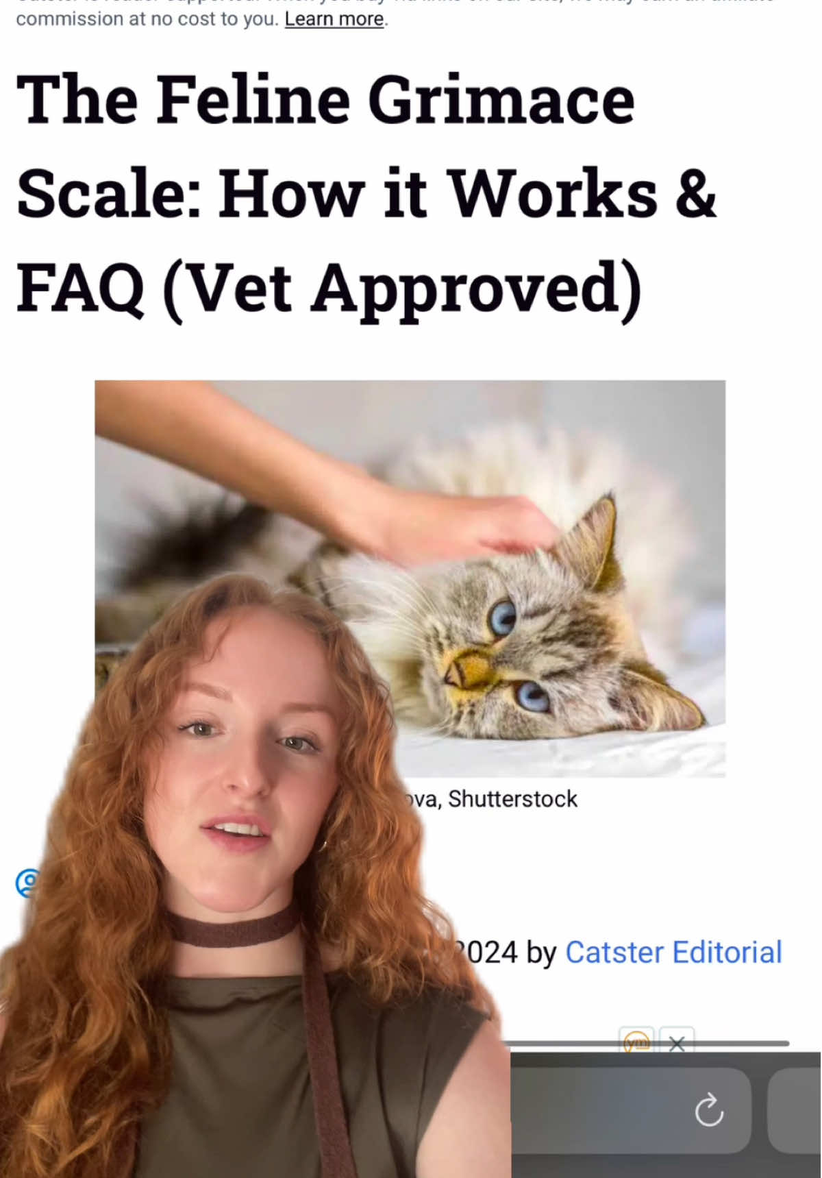 Search “Feline Grimace Scale Catster” 🐱📋 #cat #catpain #catscience #catfacts #greenscreen 