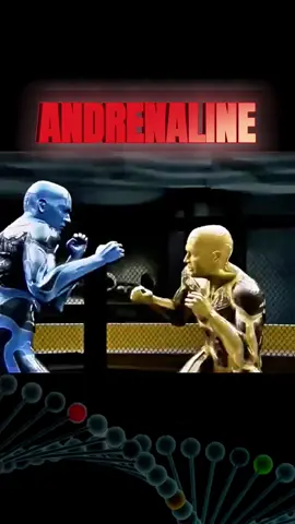 Adrenaline 🔥, also known as epinephrine, is your body’s fast-acting response to stress or danger. Released by the adrenal glands, it triggers a ‘fight or flight’ reaction:  boosting heart rate, increasing blood flow to muscles, and opening airways for more oxygen.  This surge sharpens your reflexes, heightens your senses, and gives you that sudden burst of energy and strength in critical moments. In combat sports like MMA, adrenaline can be the fuel that helps fighters push through fatigue, react with precision, and stay in the zone when it matters most.  Your body’s natural superpower. It kicks in when you need it most: heightening your senses, boosting your strength, and sharpening your focus. It’s that surge you feel before the fight, helping you push past fear and into action. Harness it, and you’re unstoppable. #thefightdoctors #adrenalin #adrenaline #fightorflight #fightorflightresponse #mmali̇fe #mmalifestyle #fyp 