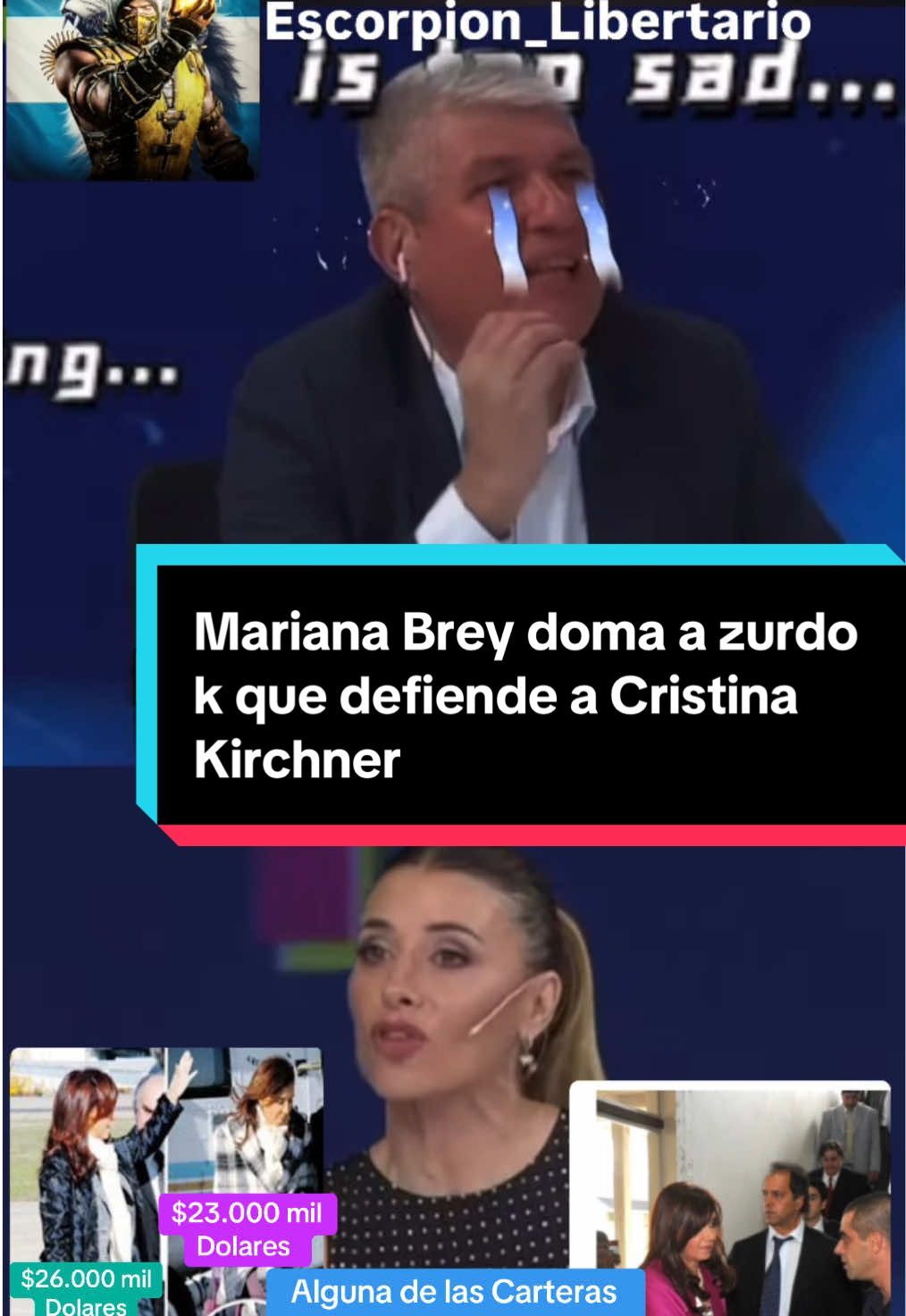 Mariana Brey Doma a Zurdo K que defiende a Cristina Fernández de kirchner #cristinakirchner #cristinafernandezdekirchner #kuka #marianabrey #carajostream #zurda #buenosaires #provinciadebuenosaires #domo #javiermilei #argentina🇦🇷 #libertarios #mercosur #lamatanza 