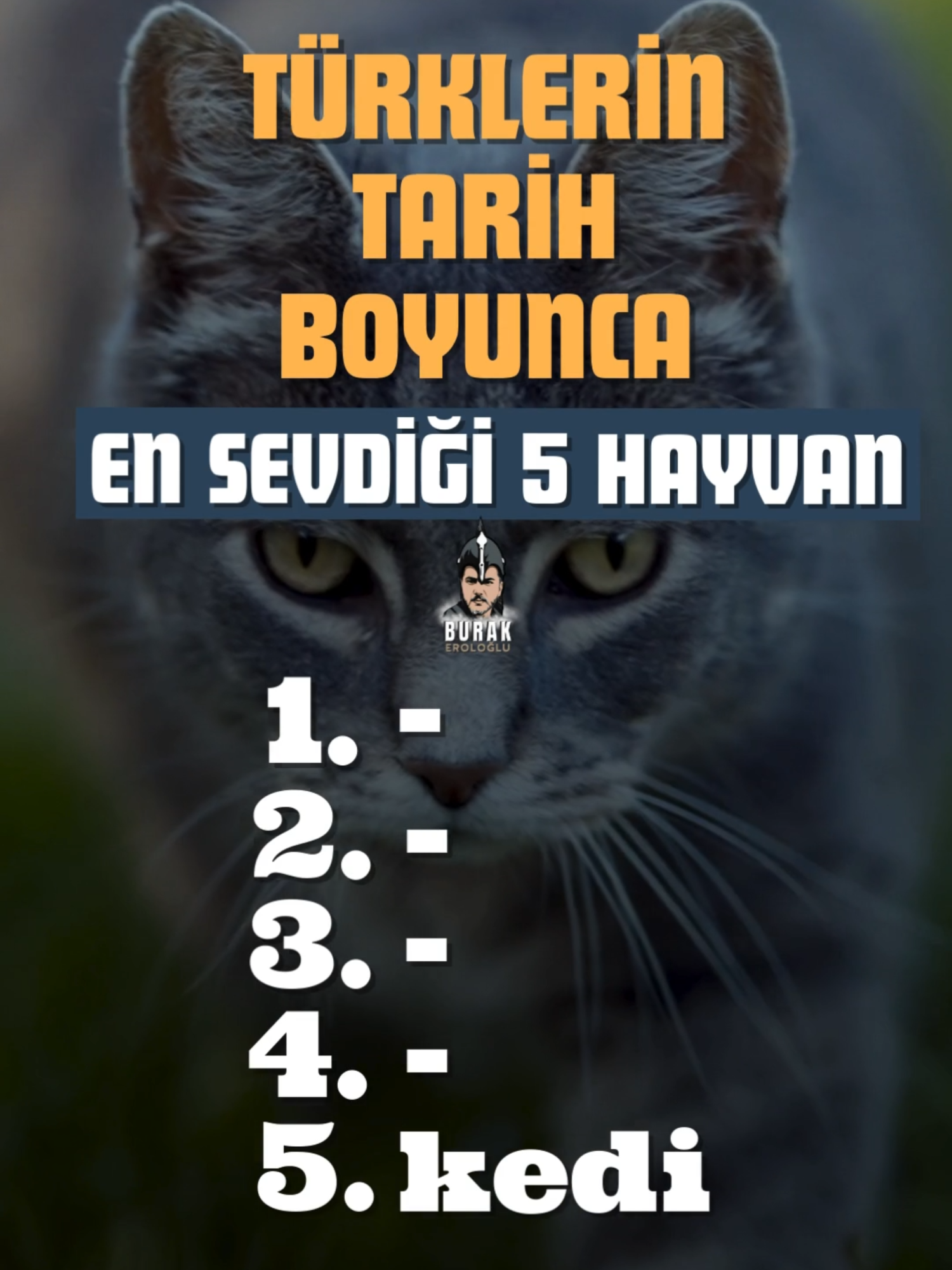 Türklerin Tarih Boyunca En Sevdiği 5 Hayvan