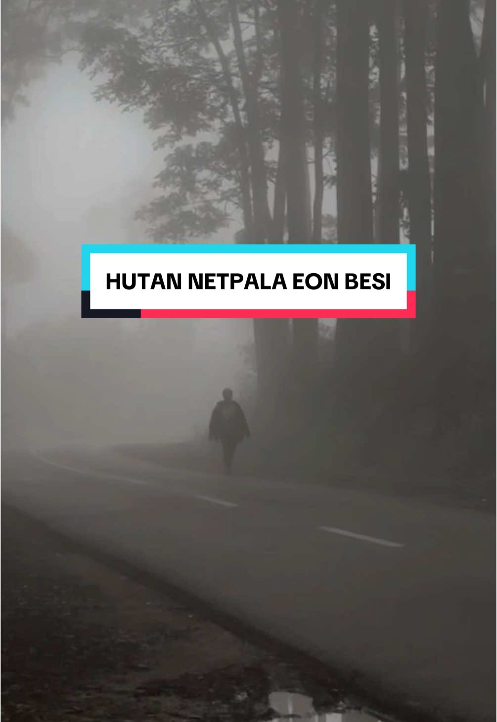 Rest Area paling menenangkan. Hutan Netpala Eon Besi, Kapan, TTS. #soe #kapan #kapantts #kapanmolloutara #timortengahselatan #wisatahutan #hutannetpalaeonbesi #netpalaeonbesi #fypkupang #fypsoe #fypnttpride🏝🔥 #foryoupage #fyppppppppppppppppppppppp 