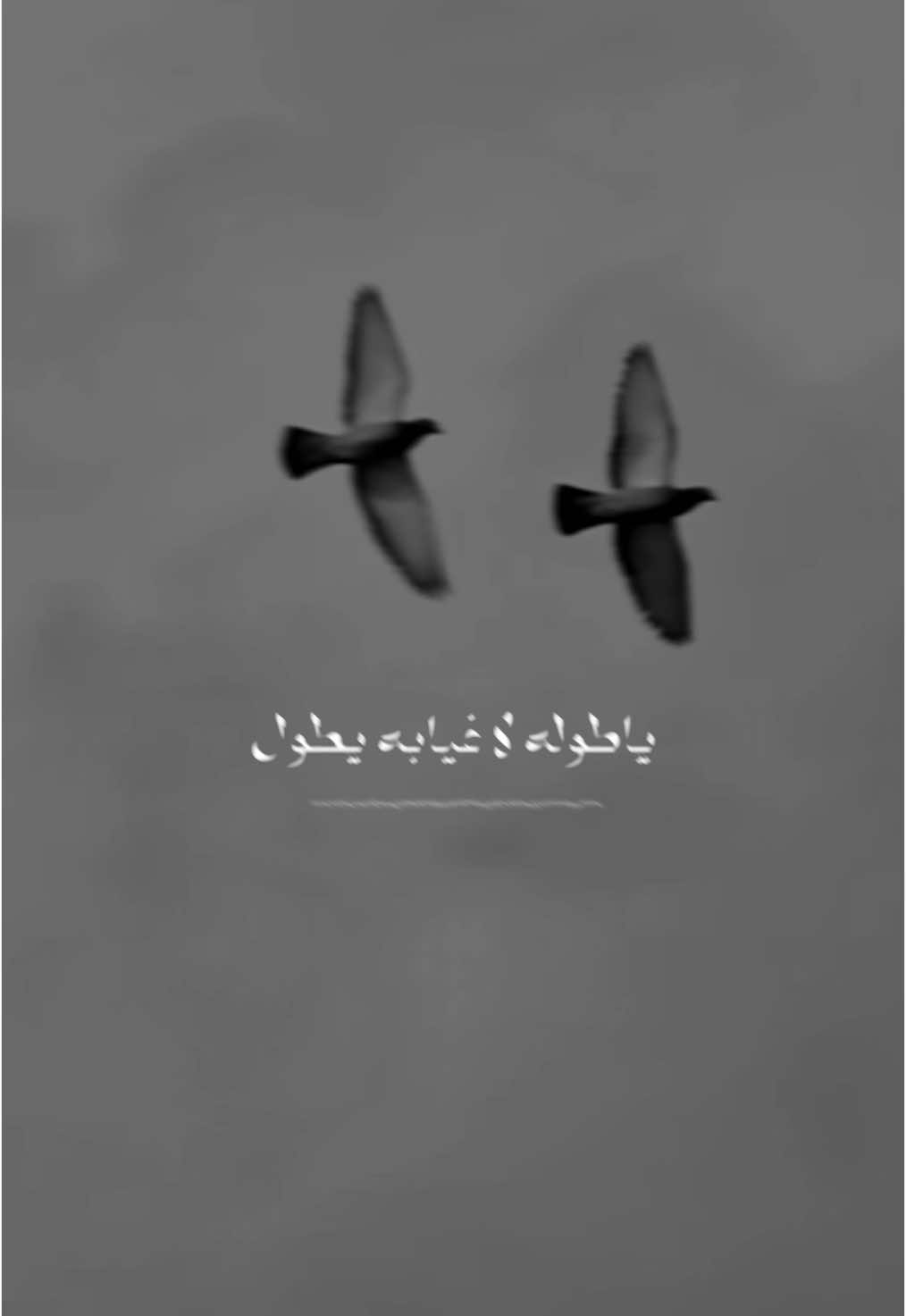 ياحورا الساع ودعيني، عزمت الشيل ضميني 💔 .. #صلاة_الليل #يازينب_يامولاتي #ياحسين #كربلاء #لطمية #حزن 