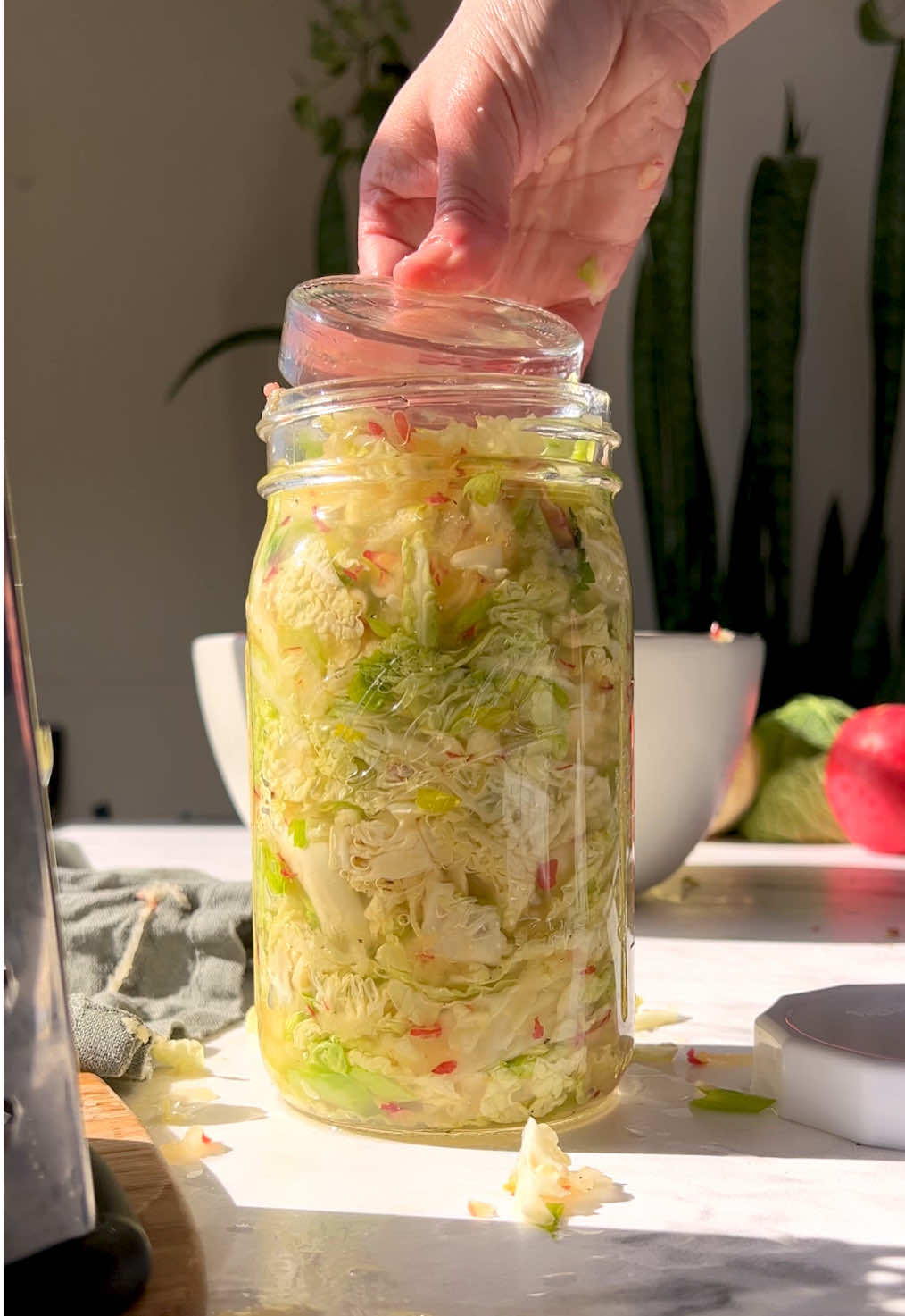 my winter medicine ✨ Well, one of my many fermented foods I use to keep us healthy through sickness szn!  I long fermented it for 21 days, as usual, giving it the best flavor and making it perfect for gut health. Here’s what you need to make it: 350 grams cabbage 18 grams sea salt 200 grams filtered water 200 grams freshly grated apple 100 grams celery Black pepper Get the full recipe and directions on my blog! All recipe links and equipment/jar/weight links are in my profile. All equipment used is also linked in the blog post.  #apples #sauerkraut #fermentedfoods #fermentation #celery #homesteading #fermenting