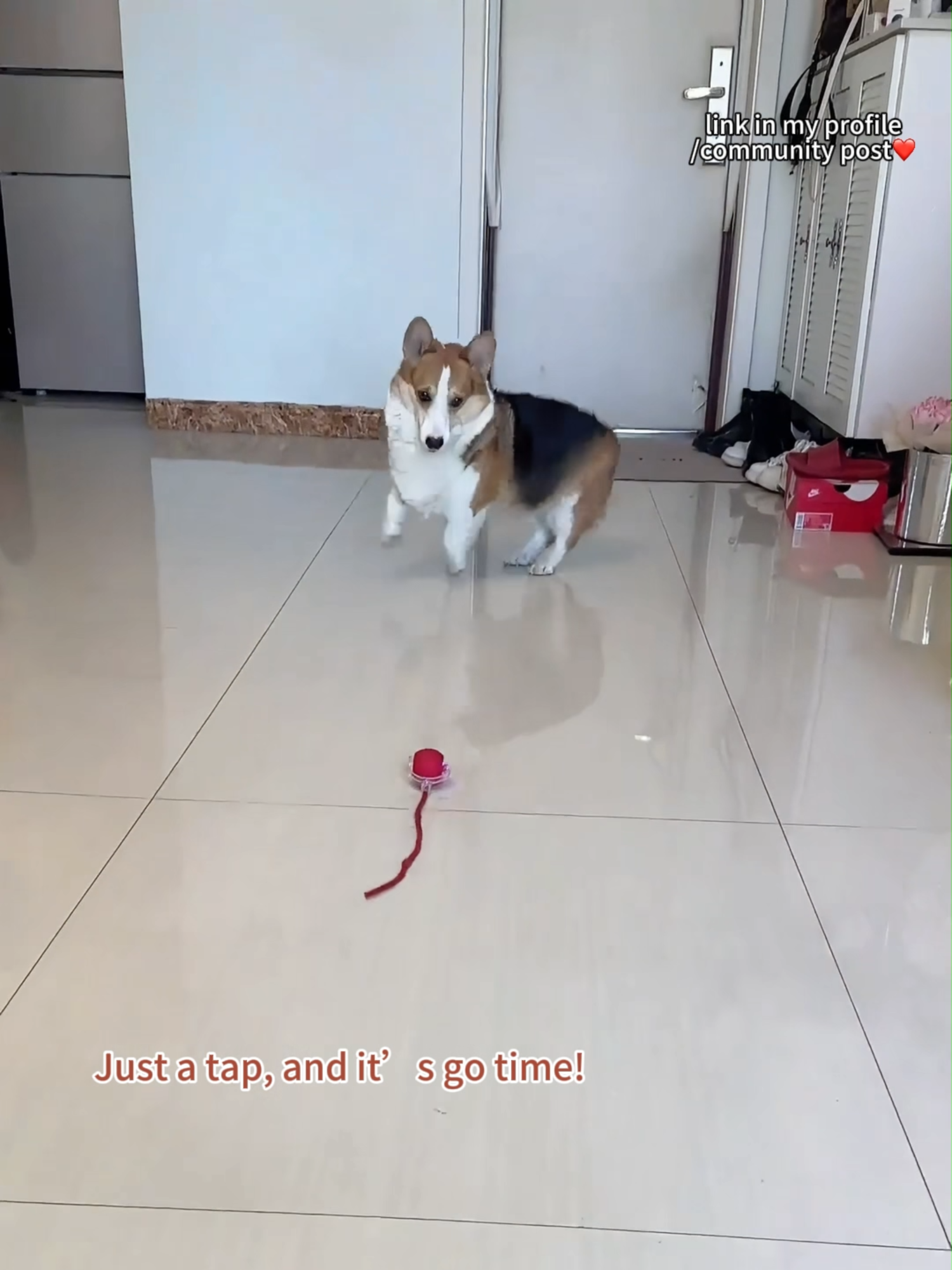 🐾 Keep Your Furry Friends Entertained for Hours! 🐾 Looking for the purr-fect gift for your cat or dog? Our Rechargeable Smart Pet Interactive Automatic Rolling Ball Toy is here to make playtime more exciting than ever! 🎾🐶🐱 ✨ Features You'll Love: ✅ Interactive Fun: Rolling ball design keeps your pets chasing, pouncing, and entertained. ✅ Simulated Tail: Adds an extra level of curiosity for your pets to explore. ✅ Rechargeable: Eco-friendly and hassle-free—no more batteries needed! Your pets will love this high-tech twist on their favourite toys, and you'll enjoy watching them play, exercise, and stay happy! 🐕💖🐈 🎉 Don't wait—get it now! Make your furry friend’s day and enjoy hours of fun together. 👉 Buy Now: https://tinyurl.com/34wkk5du 🌟 #PetLovers #InteractivePetToys #CatPlaytime #DogFun #RechargeablePetToy #SmartPetGadgets #HappyPetsHappyLife Follow us for more amazing pet products, exclusive deals, and tips for your four-legged family members! ❤️🐾