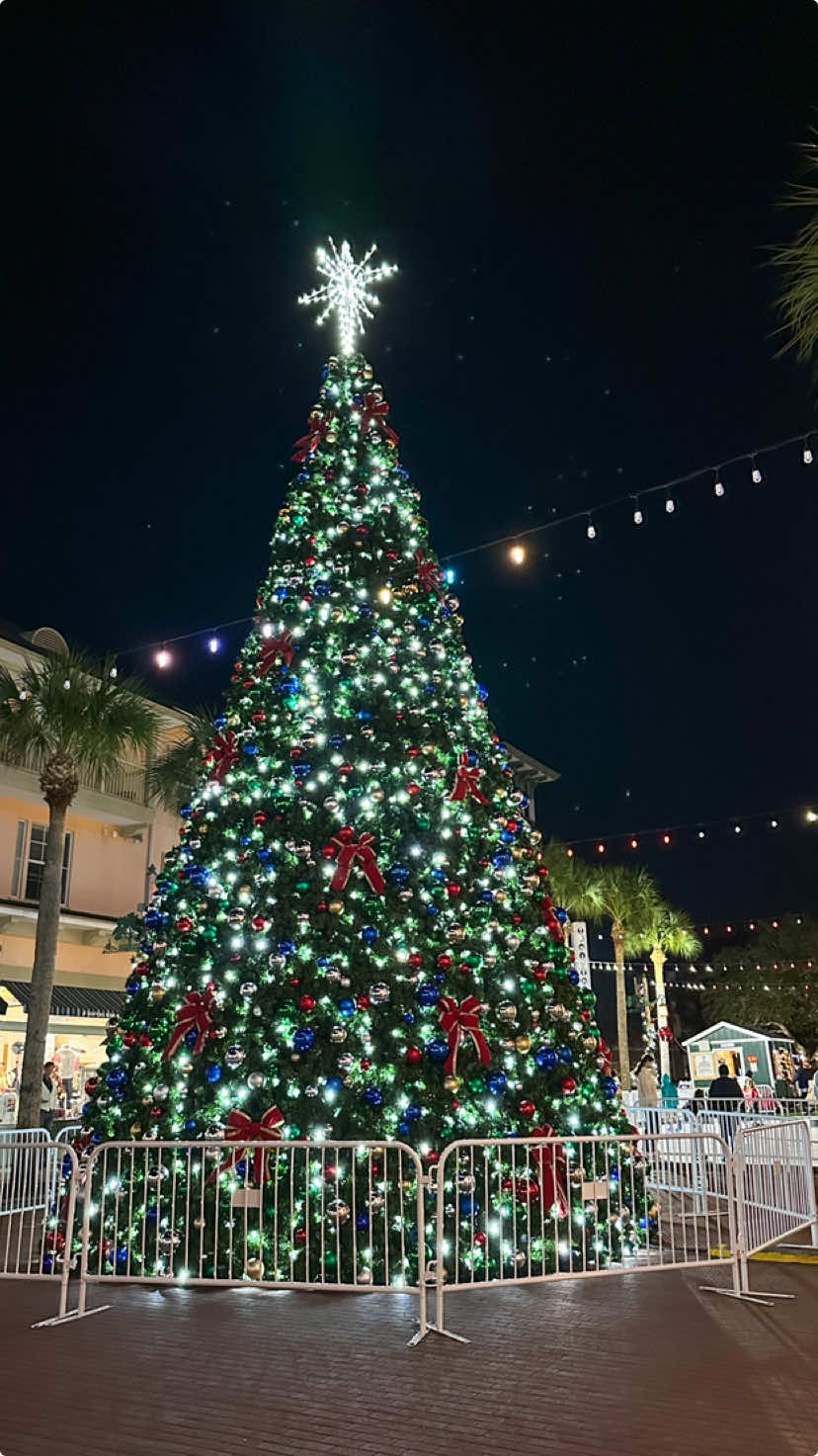 📍 Celebration, Florida  Celebration is so magical at Christmas time! Just 15-minutes away from Walt Disney World Resort, the beautiful town gets decorated with festive spirit every year. There’s a snowfall every night at 6pm, 7pm, 8pm, and 9pm ❄️ There’s a child-friendly ice skating rink, a giant Christmas tree, a Santa meet-and-greet, food and drink, horse and carriage rides, a mini train ride, and more.  You should visit Celebration in Florida next Christmas!  #celebrationflorida #florida #christmastime #christmastown #celebrationtown 