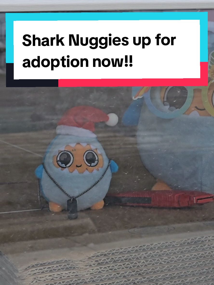 Sharks are up for adoption now!!  there aren't many of them so make sure you don't miss adopting a little fishy friend! #sadnuggie #sadnuggieadoptioncentre #sharknuggies #sharks #sharkweek #poolside #poolparty #friends #island #plushie #adoption #update #DailyRoutine #worklife #nugglife 