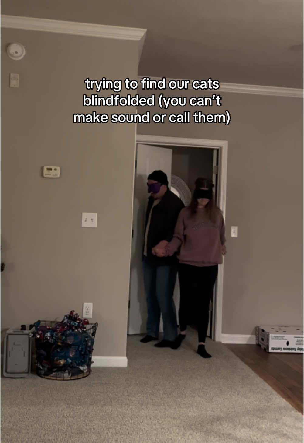 the raw unedited video is 20 minutes long 😂 #blindfoldedcathunt #cats #married #marriedlife #catsoftiktok 