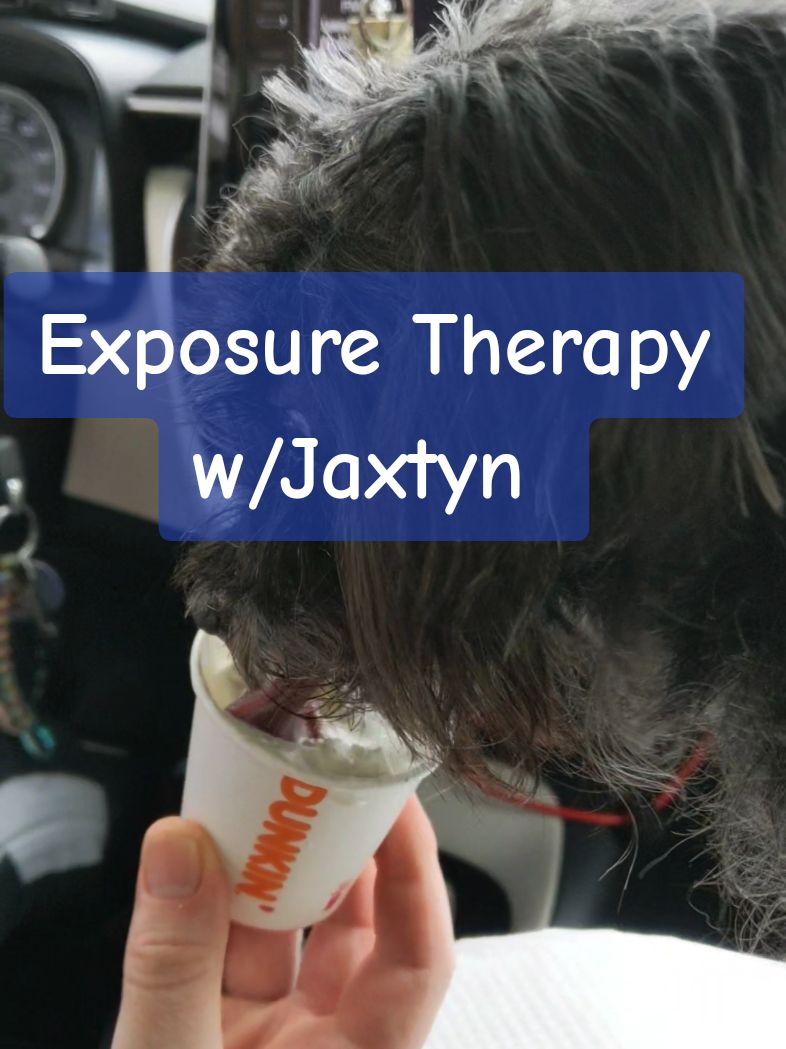 Just some exposure therapy for me & Jaxtyn 🐾 *You can see all the babies on IG @wilburinwonderland #JaxtynTheDorkie #dorkiesoftiktok #exposuretherapy #agoraphobia #dunkin #courageovercomfort  #youarenotalone #inittogether  #pineapplepeace🍍✌️#crystalchats  #pineapplepeacemovement  #mentalhealthadvocate #therapydog 