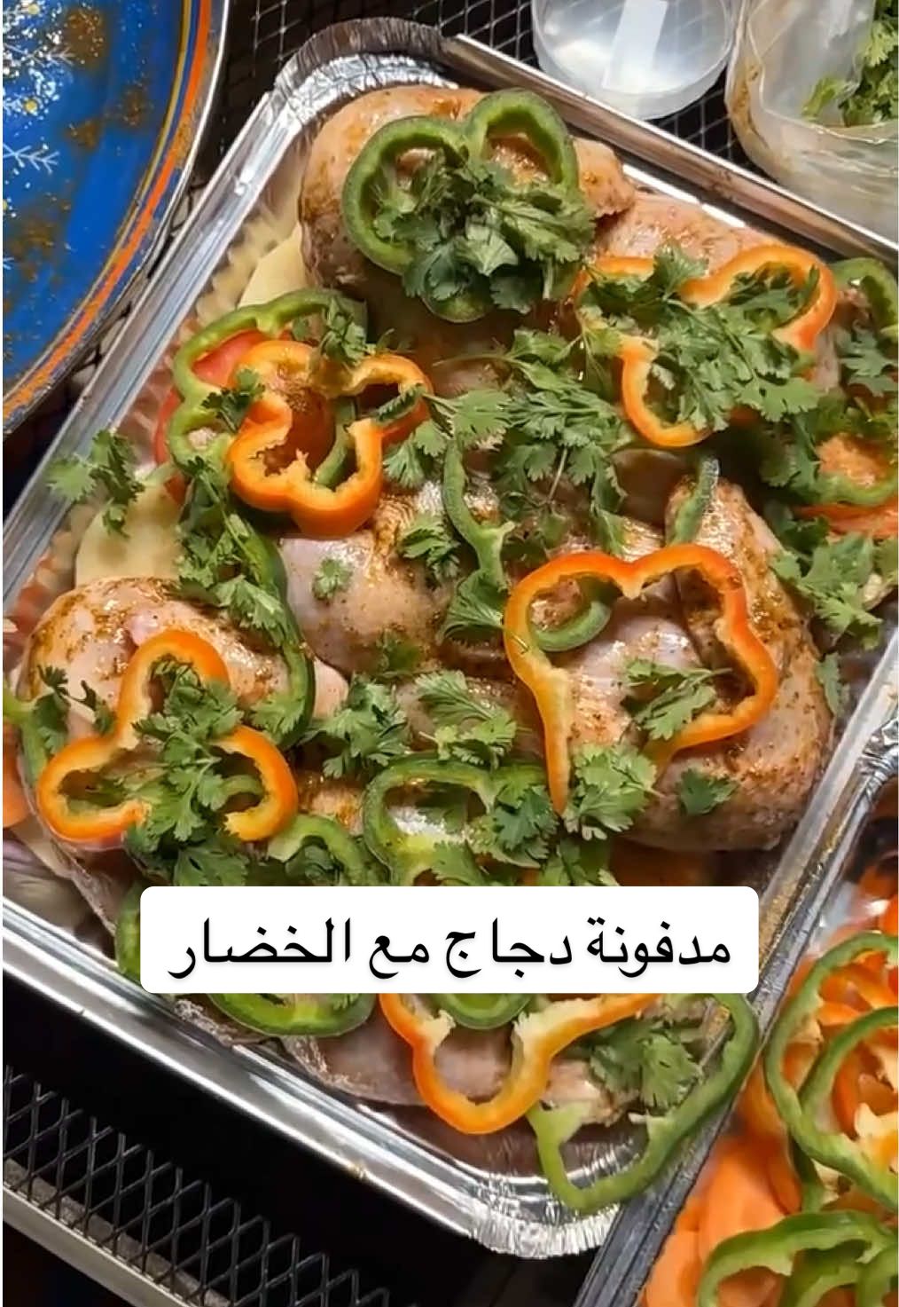 مدفونة الدجاج مع الخضار 🔥