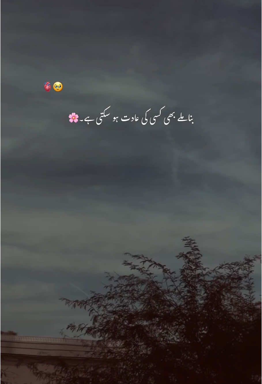 یہ مجھے تم سے بات کر کے پتہ چلا۔🥺 #foryoupage #foryou #trending #aesthetic #account #poetrystatus #grow #hehe_feroz 