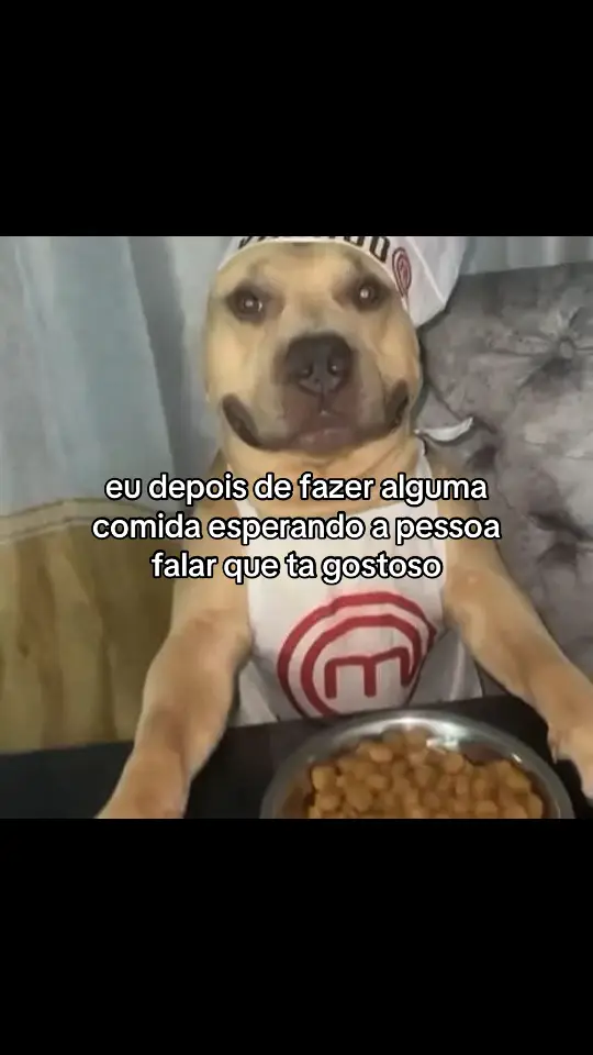 #meme #viral #engraçado #cachorro #caramelo #cozinhar #cozinha 