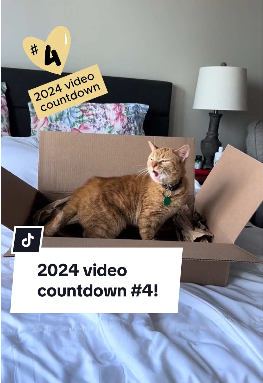 We’re finishing up the year with a countdown of the top 5 @Cala_and_Elizabeth videos of 2024! Here is video #4!   Cala only meowed like this while she was playing – she loved a “hunting” style of play where she’d capture her toys and chased them around, likely from her days as a street cat before I adopted her. No need for alarm! Although Cala is no longer with us, she was regularly cared for by a vet and was not suffering during these meowing times. #catsoftiktok #cattok #igomeow #meow #catsounds #orangecatbehavior #RIPCala #greatesthits 