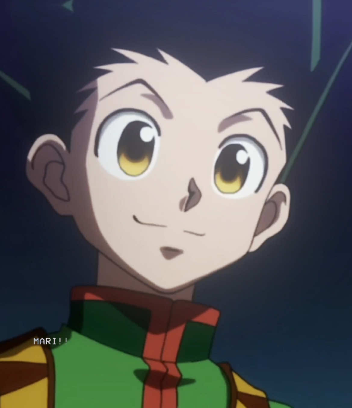 #GON - my love for you #hunterxhunter #fyp #gonfreecs #animeboy #animeedit #vs @chiara✩ @❥ nina @alex 🍉 @✦ Meli! ✦ @akiraa @.𖥔 ݁ ˖ khonshusbae !! @༺꧁ 𝒥ℴ𝓁𝓎 ꧂༻ @˚｡ ୨ vee ୧ ｡˚ 