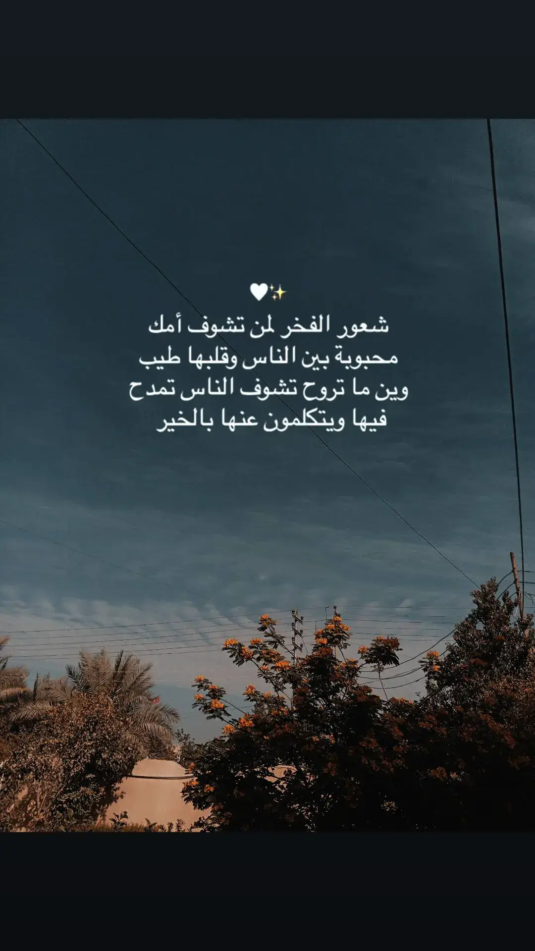 يا بعد روحي يايمه من عمري عله عمرج#❤  #امي #🥺 #🤍  .  .  .  .  .  .  .  #الرادود #سيد #محمد_الحسيني . #باسم_الكربلائي #مسلم #الوائلي  #capcut #viral #fyp 