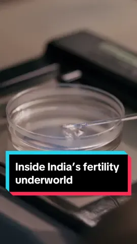 The demand for human eggs is booming, giving rise to a largely unregulated and dangerous marketplace. In India, we meet a teenage girl caught up in this #fertility underworld. Learn more on Bloomberg Investigates. #worldnews #business