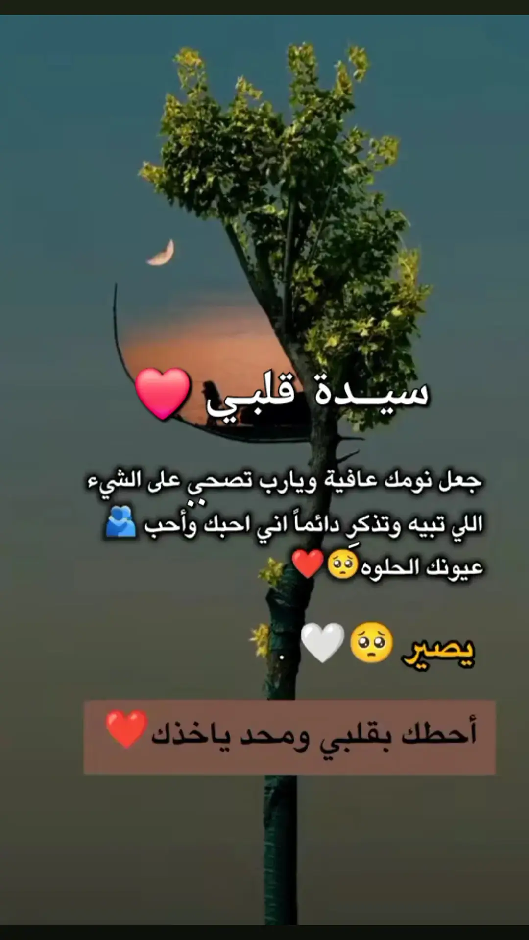 #حبيبتي_وروحي_احبك 