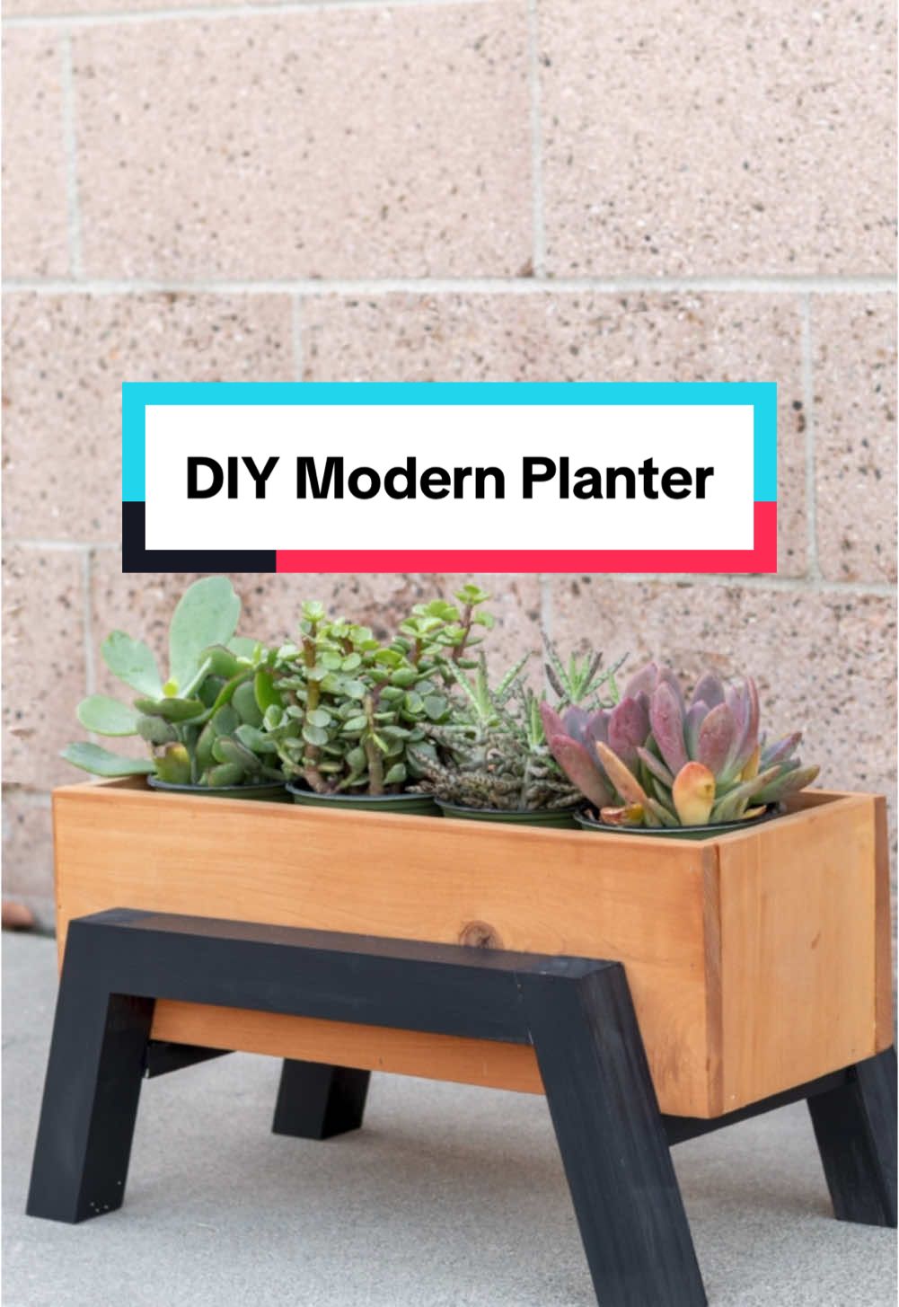 Curious about the secret to those angled legs? 👀✨ It’s easier than you think! Here’s how to build this sleek modern planter in just half a day: Materials: 1×6 boards for the box + 2×2 and 1×2 boards for the stand. Angle for Legs: Cut the 2×2 boards at a 15° angle for that modern look. Steps: Build the box with glue + nails, then attach the legs using pocket holes. Finish: Stain or paint in your favorite colors! Perfect for indoors or outdoors, and beginner-friendly! 🌱 #diygiftideas #diyplanter #diychristmasgifts #woodworkingproject #woodworkingplans #tiktokpartner