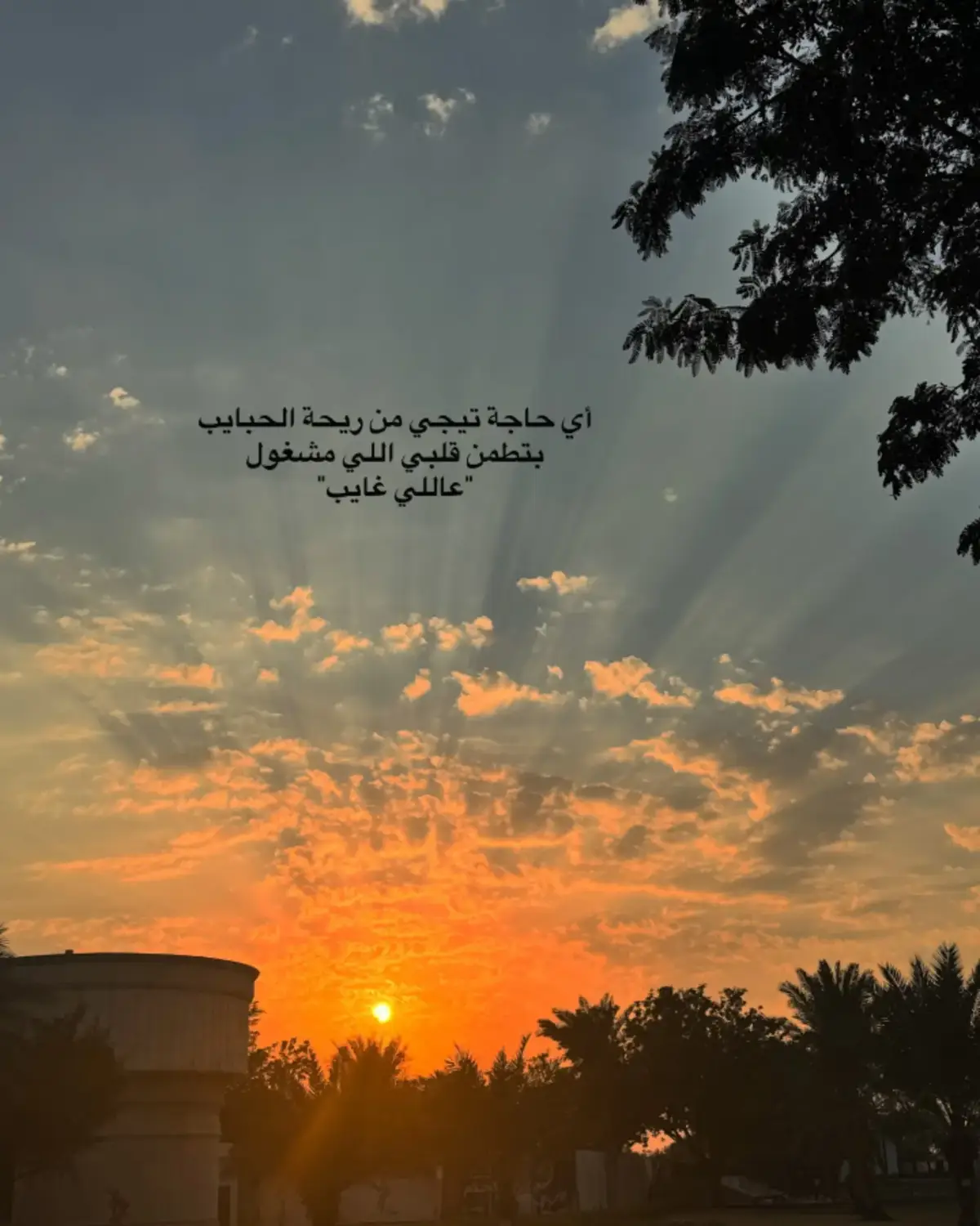 #عمرو_دياب اي حاجه تيجي من ريحه الحبايب ♥✨