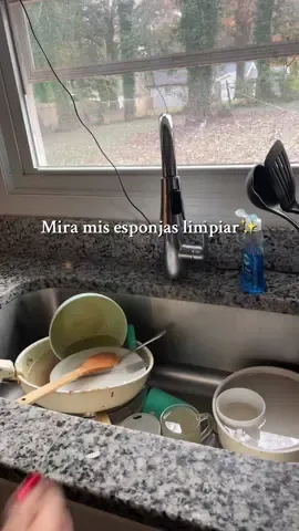 Alguien sabe como funcionan?  #limpiando #dancingsponges #esponjasbailarinas #cleaning #spongedance #sponges 
