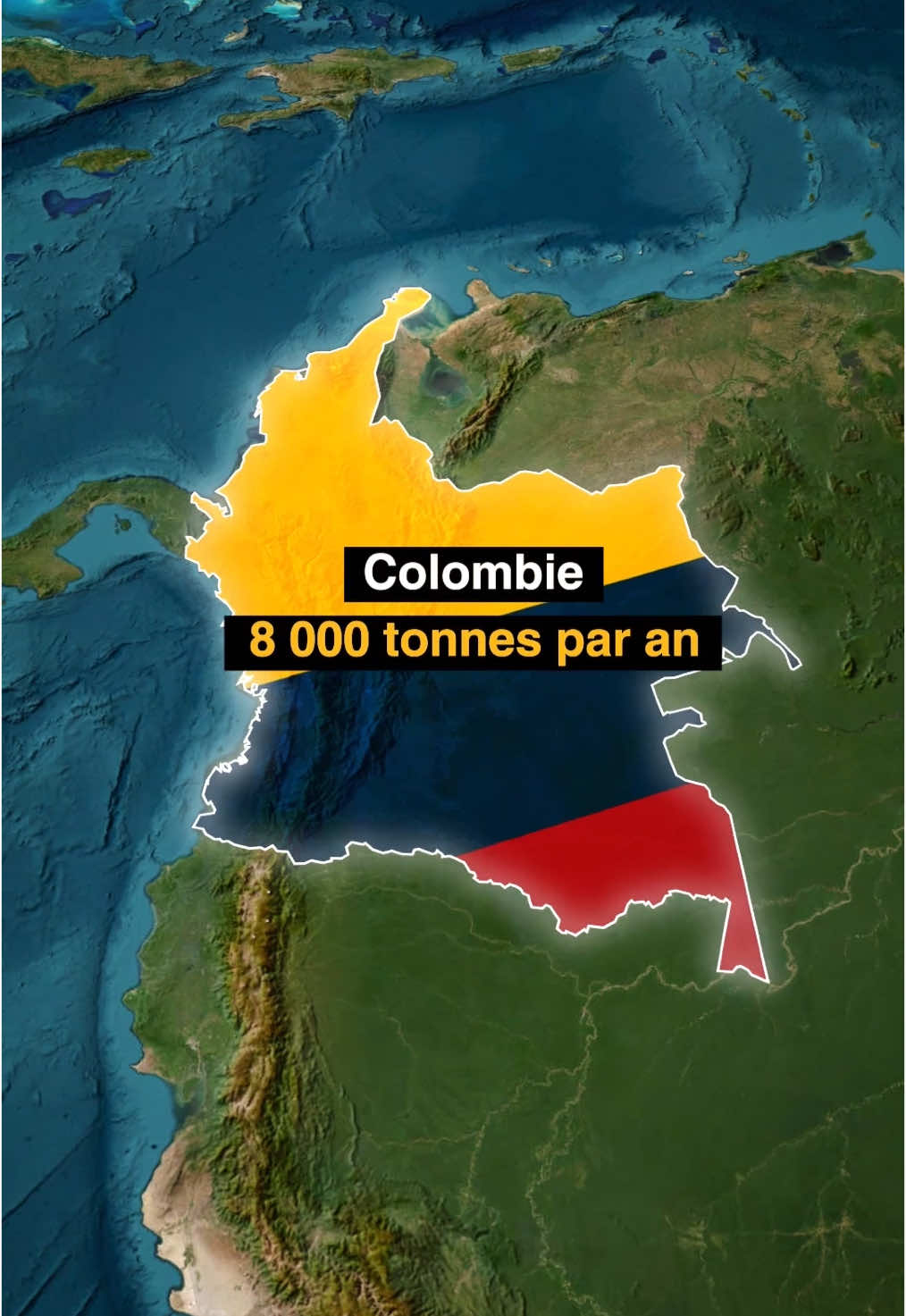 Quels pays cultivent le plus de cannab!s au monde ? #geo #géographie #apprendresurtiktok #decouverte