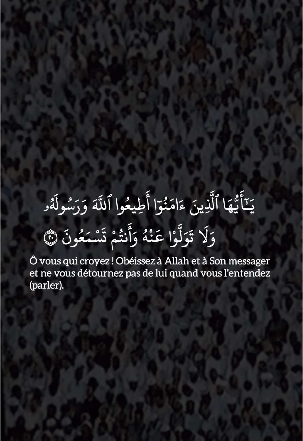 🎙Sheikh Saud Shuraim - Sourate Al Anfal 20-24 #quran #coran #shuraim #pourtoi #fyp 