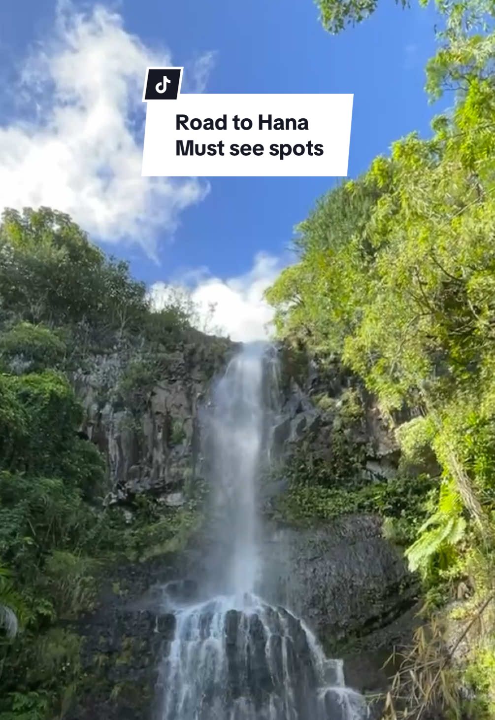 The ultimate Road to Hana itinerary! Taste local flavors, marvel at stunning lookouts, and hike through bamboo forests to epic waterfalls. End your day soaking in the serene Maui sunset. Ready to explore? #RoadToHana #Maui #Hawaii #Traveltiktok #mauihawaii #tiktoktravel #expedia