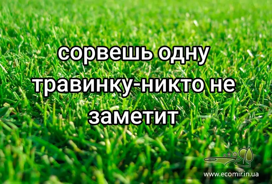 #рекомендации #жизнь #ситуация #рекомендации #рекомендации 