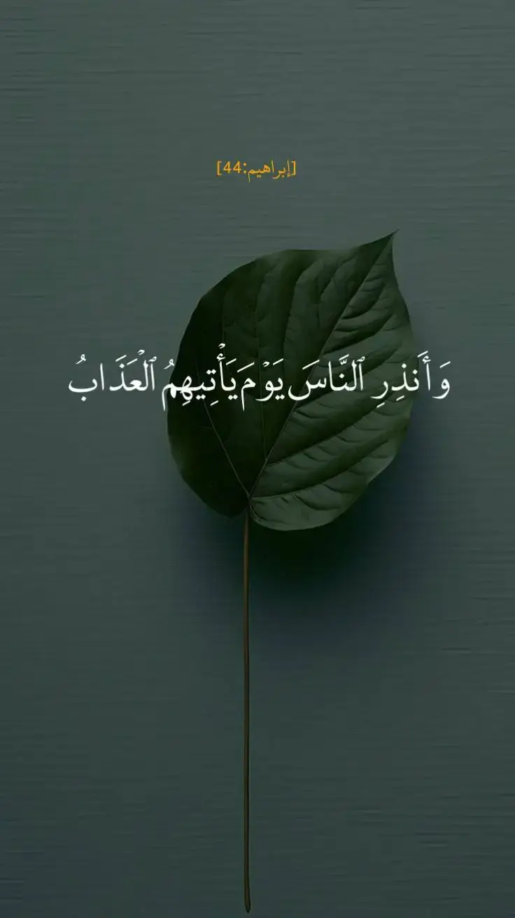 وَأَنذِرِ النَّاسَ يَوْمَ يَأْتِيهِمُ الْعَذَابُ #قران #القران_الكريم #شيخ_الزين 