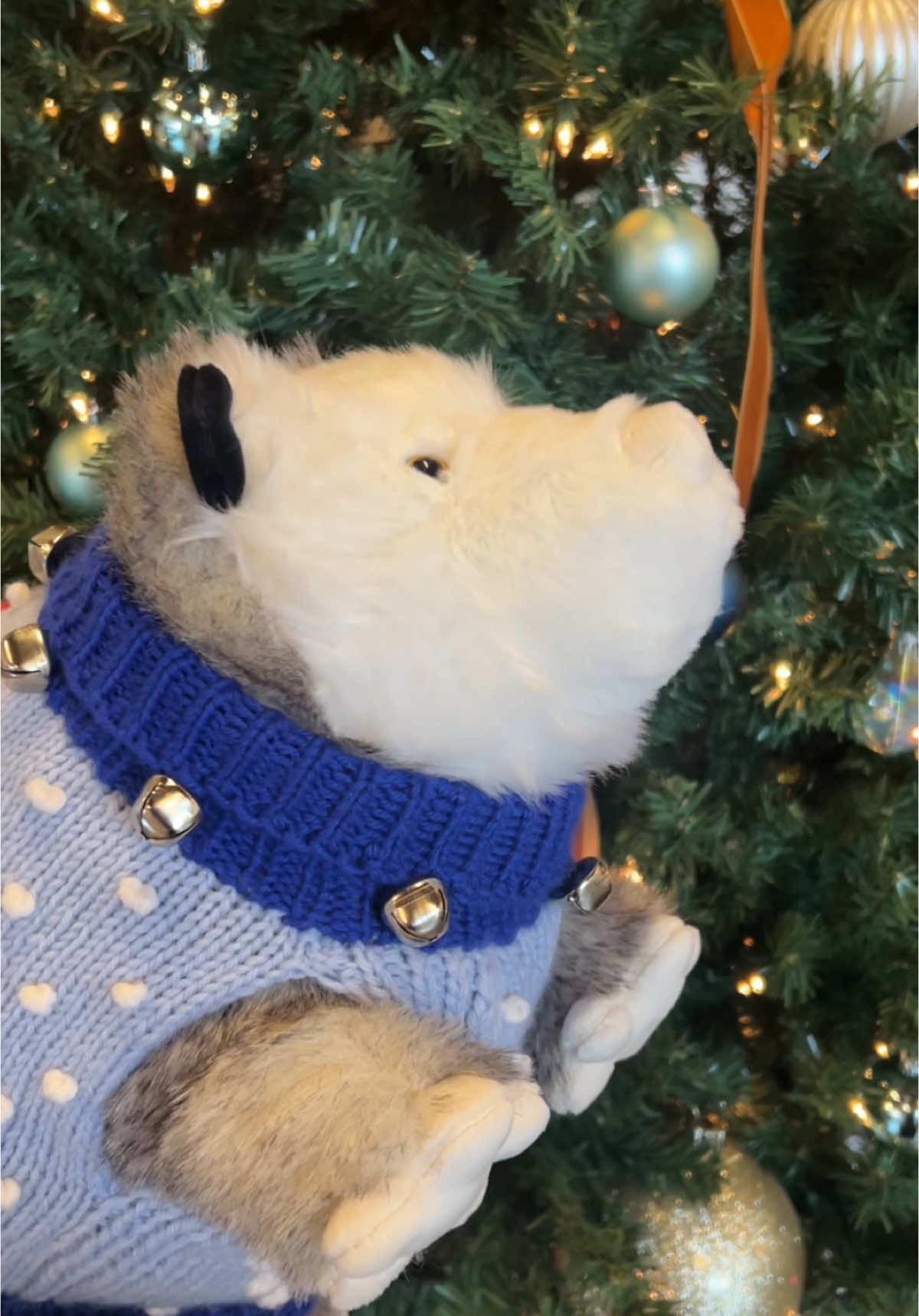 what reconnecting over the holiday feels like. #holiday #dance #possum #viral #fyp 