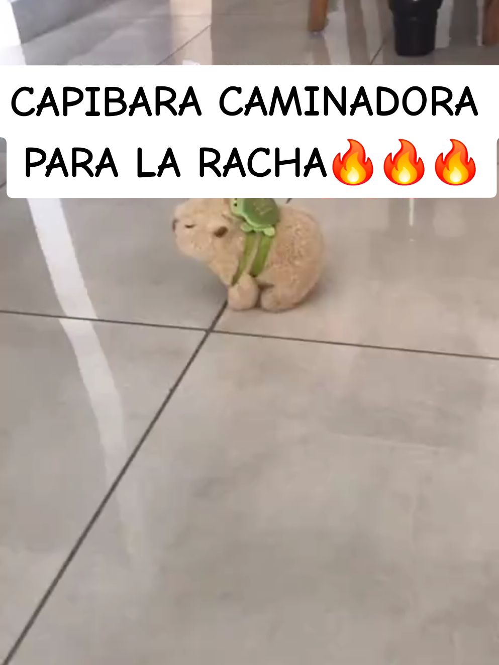 #larachaaaaaaaaaa🔥 #teamcapibara 