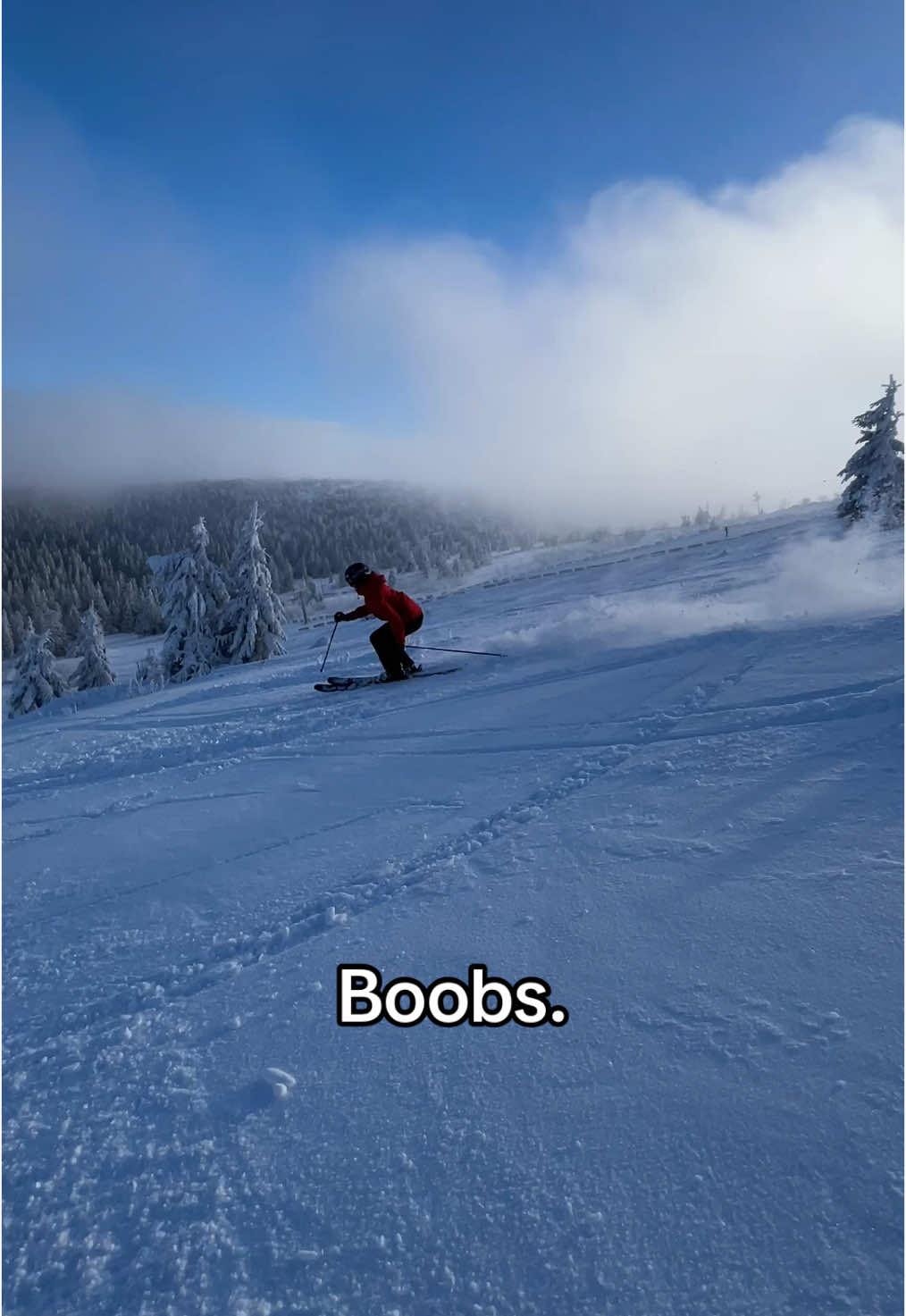 #skiing #skitok #fyp #powder #boys 