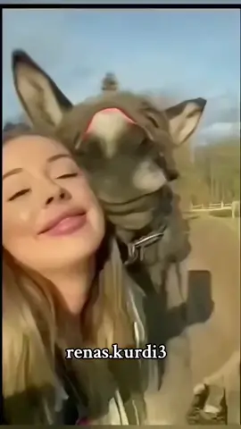 #komedi #funnyvideos #funny  #tiktoktürkiye #tiktok #hahaha #tiktokvideoları #funnyvideo #enkomikvideolar #komikvidyolar #Love #funnymoments #trending #foryou #capcut  #humor 